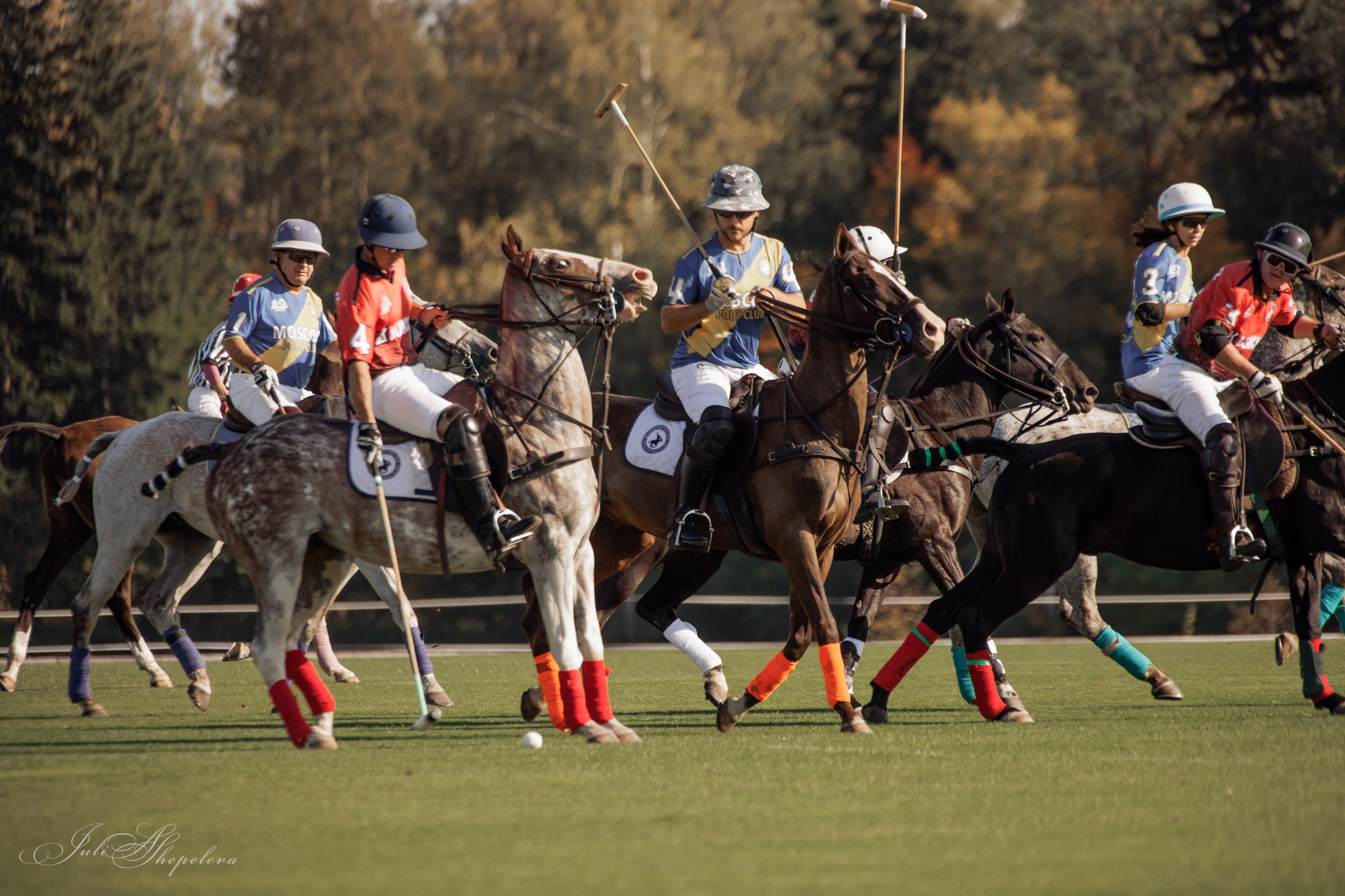 Осенний кубок по конному поло. Детская Конная фотография в Москве Юлия Шепелева