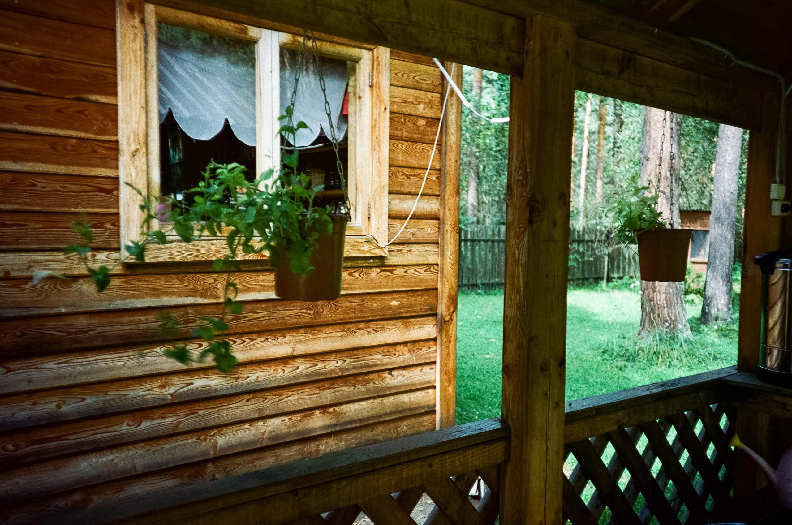 Ботанический сад и Шаманская поляна. Фотограф-документалист Мария Осокина