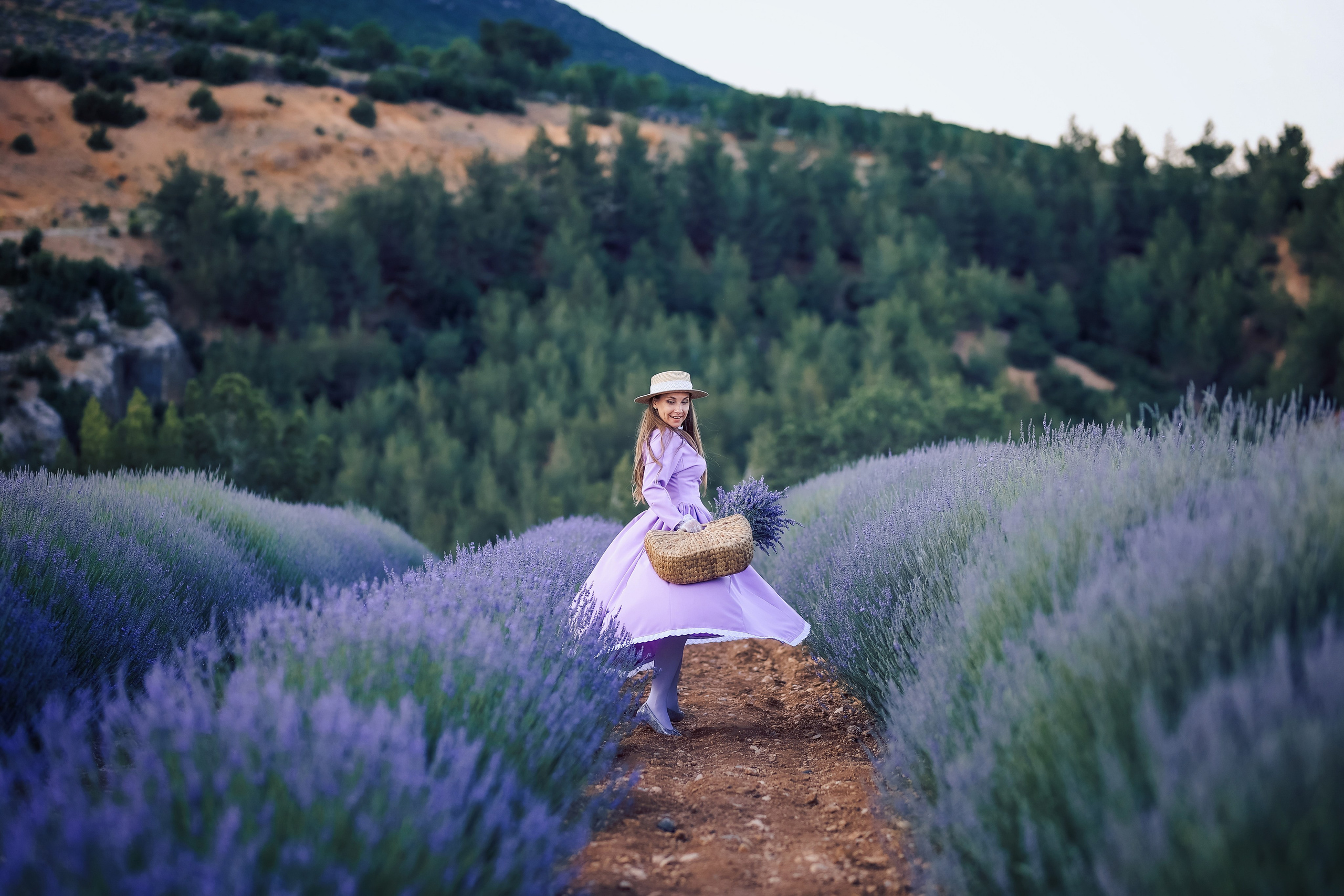Lavender fields in Turkey