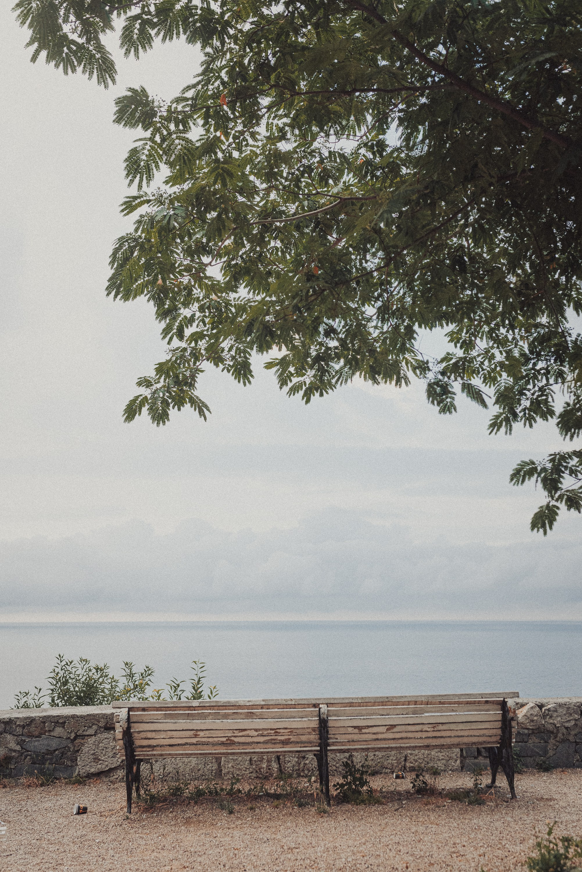 Проект «На улице Ленина». Алупка, ул. Ленина. Документальный фотограф Илья Тихановский