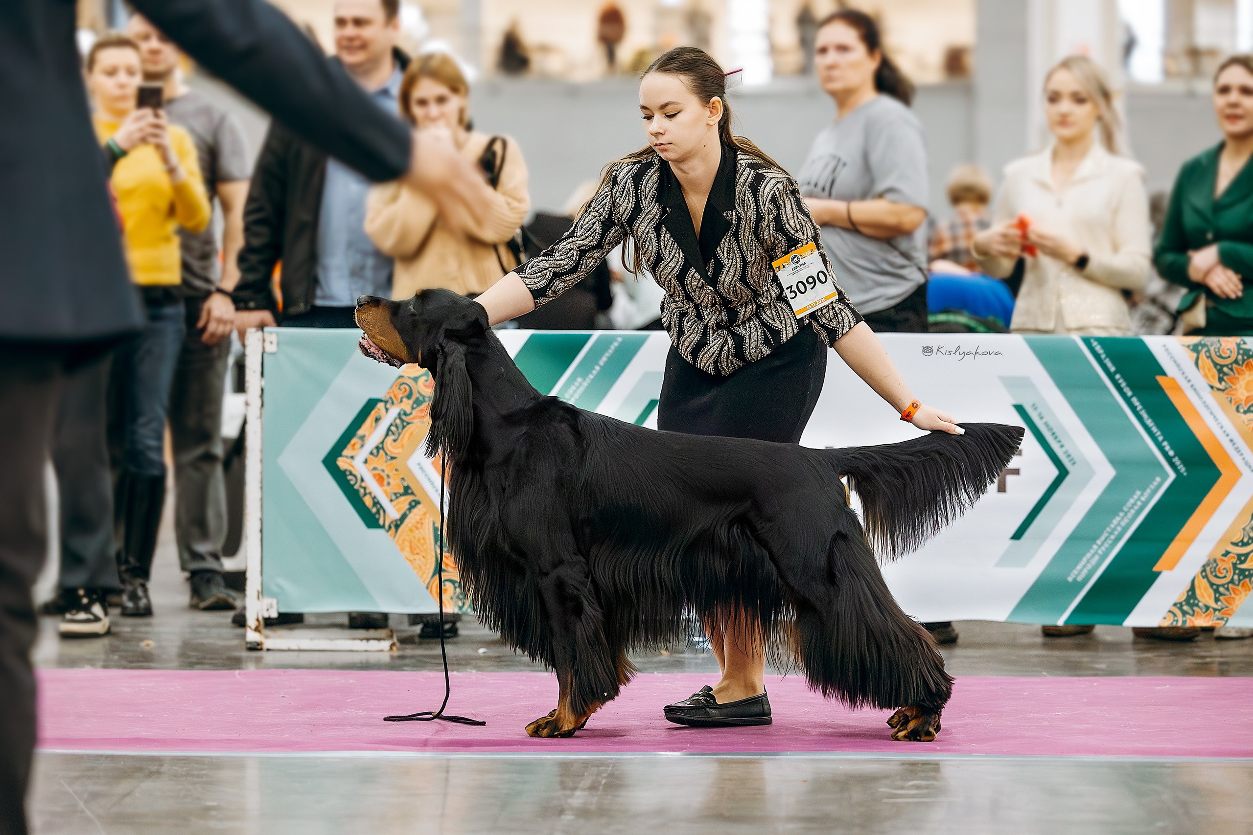 Выставочный репортаж. Фотограф. Фотограф-анималист. Москва