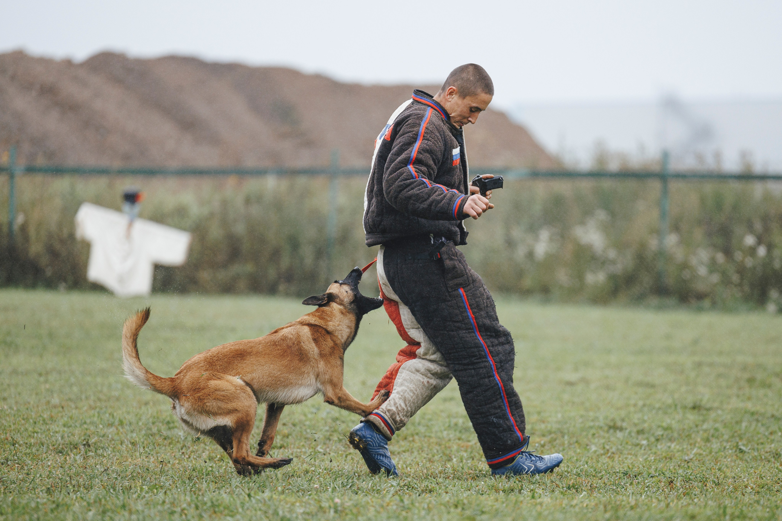 08.08.25-10.08.25 ЧР по мондьорингу г. Вологда. Фотограф-анималист Анна Маринич