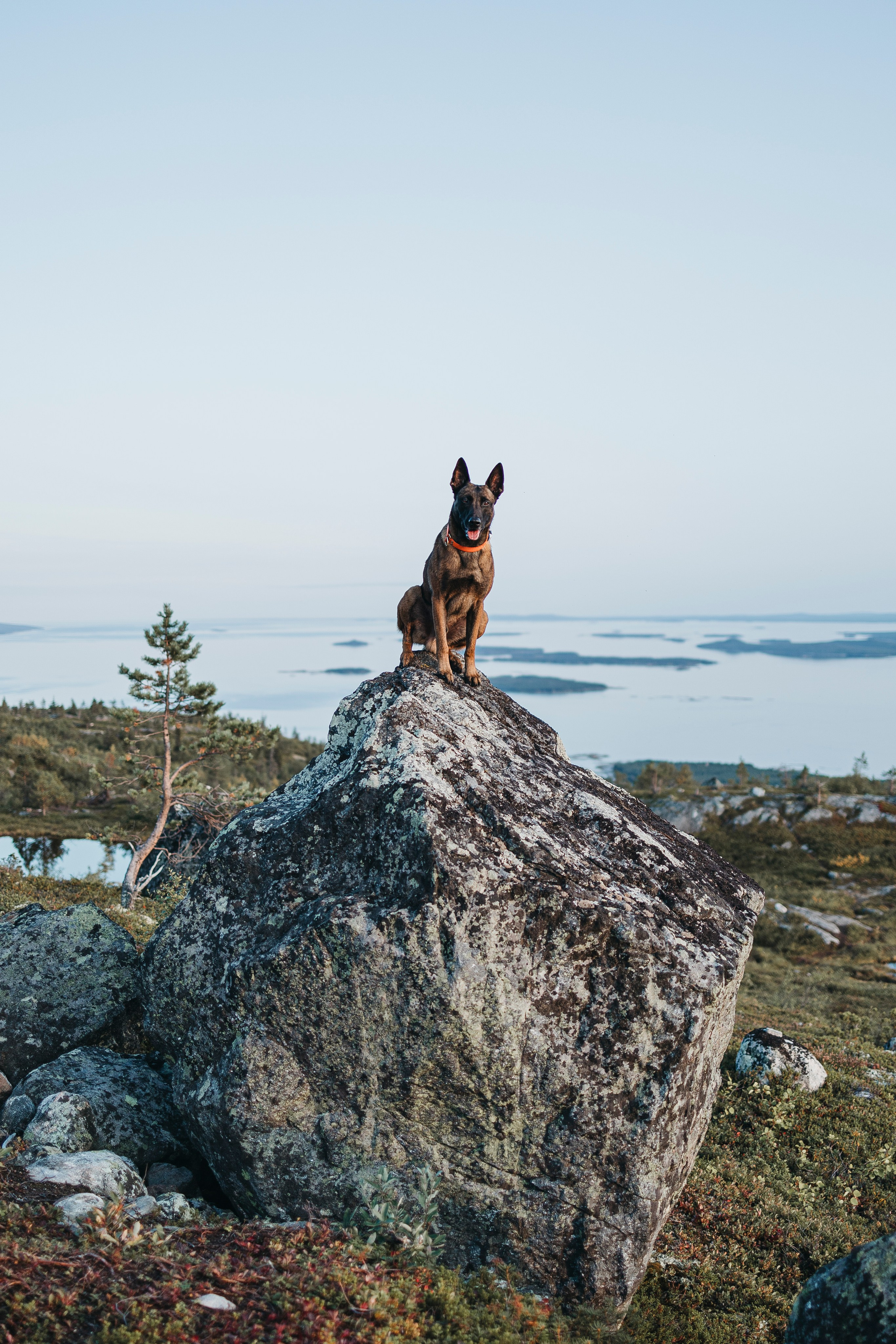 Горы. Фотограф-анималист Анна Маринич