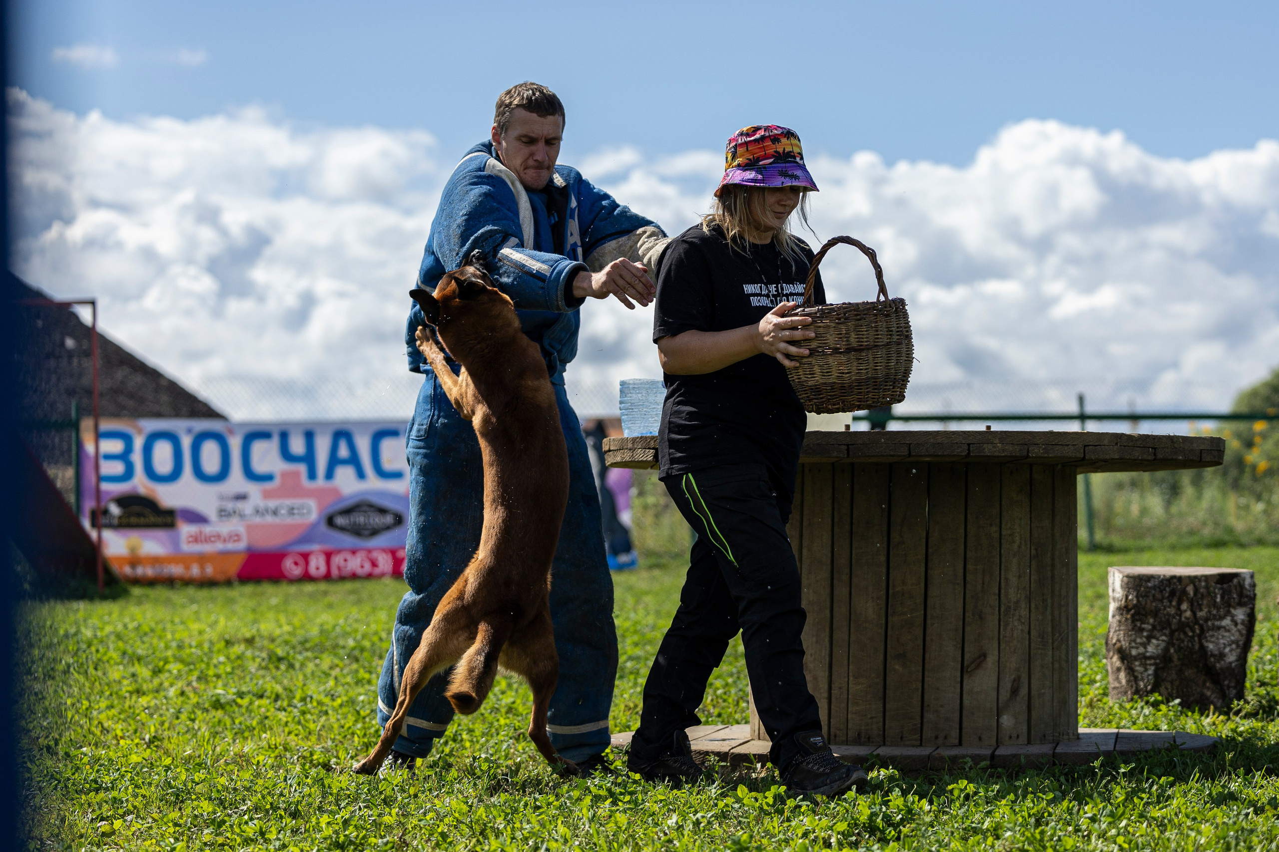 Соревнования по Мондьорингу г. Вологда 10-11.08.2024. Фотограф-анималист Анна Маринич