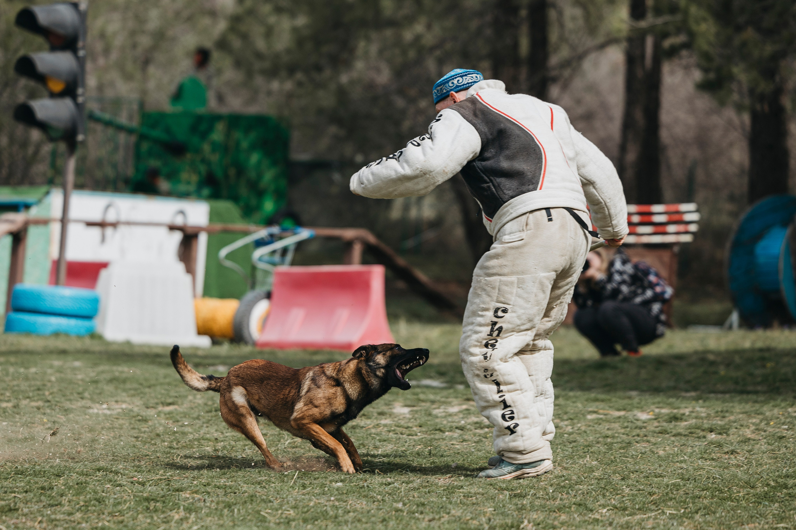 Геленджик Мондьоринг. Фотограф-анималист Анна Маринич