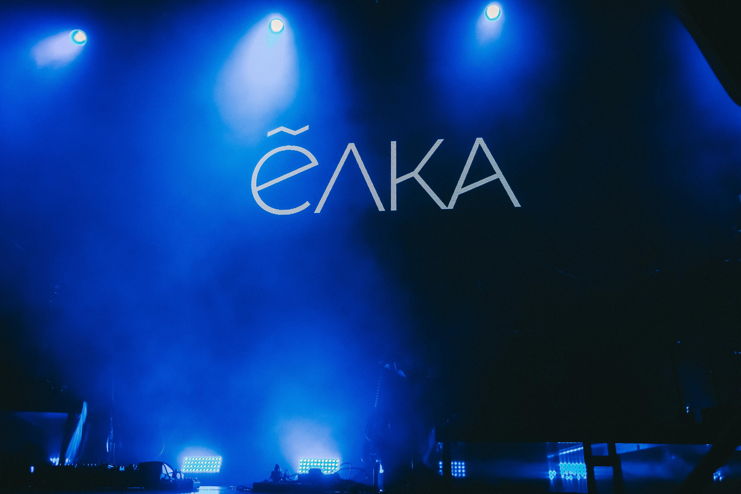 ЁЛКА. Фотограф Сонкина Татьяна