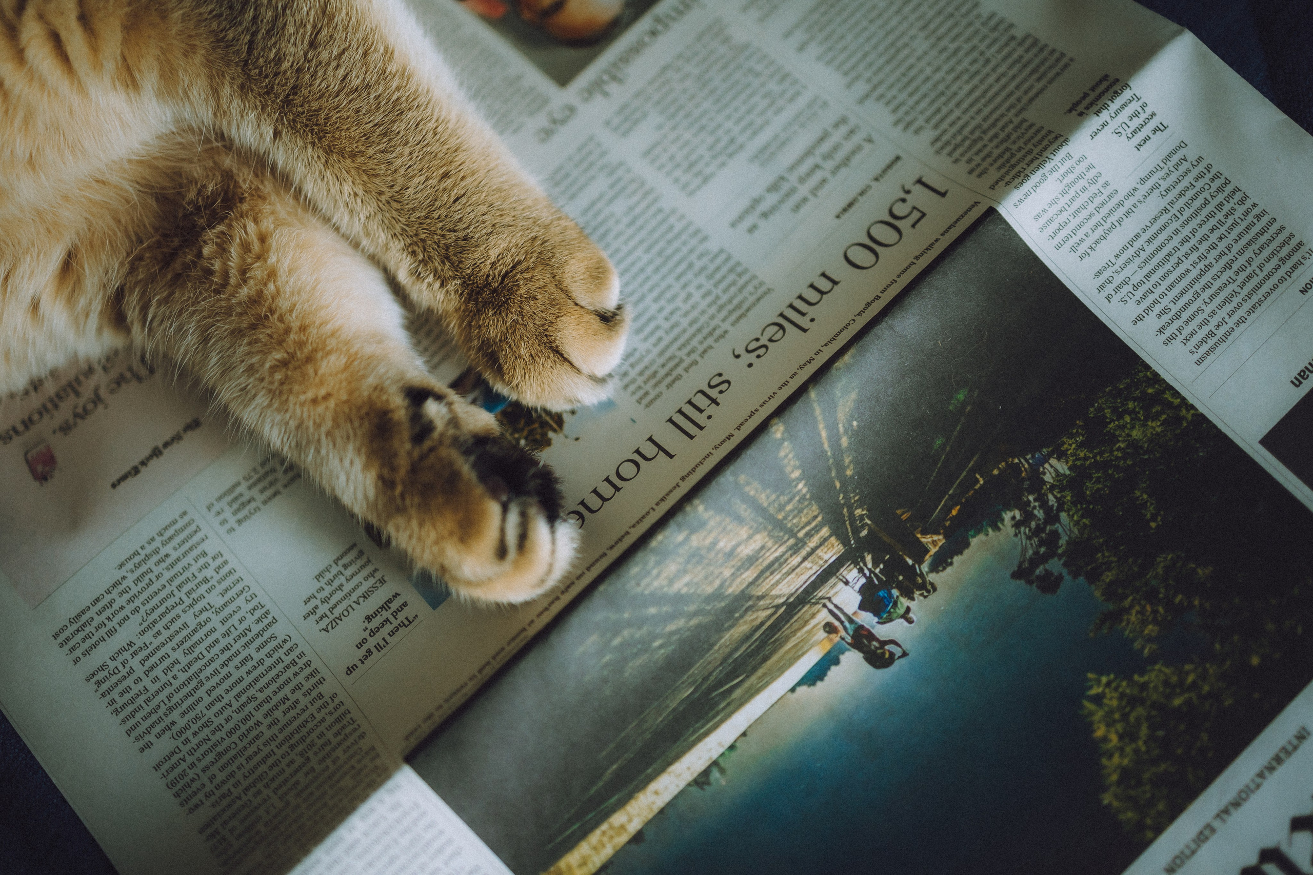 Генри и его семья