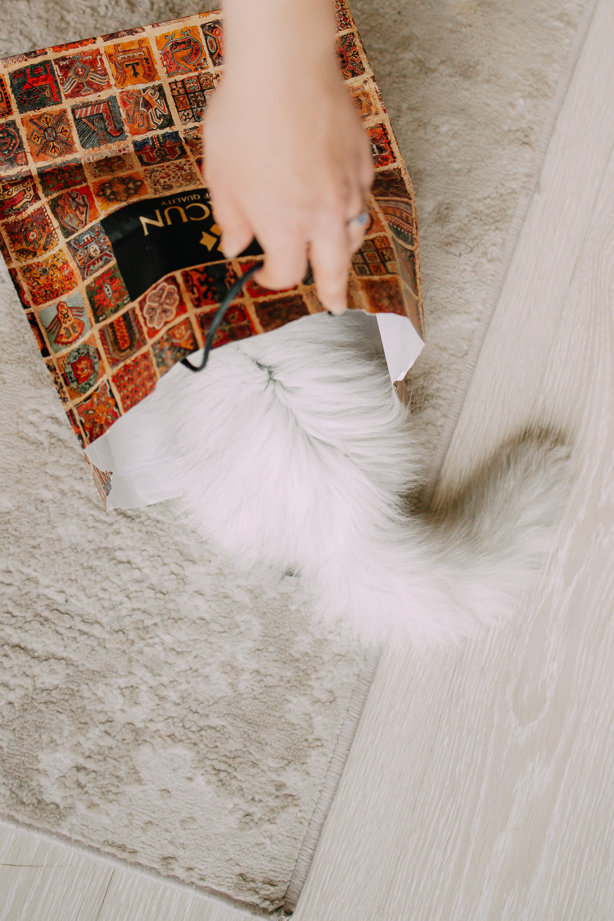 Султан, Мэй Мэй и Шанталь и их семья