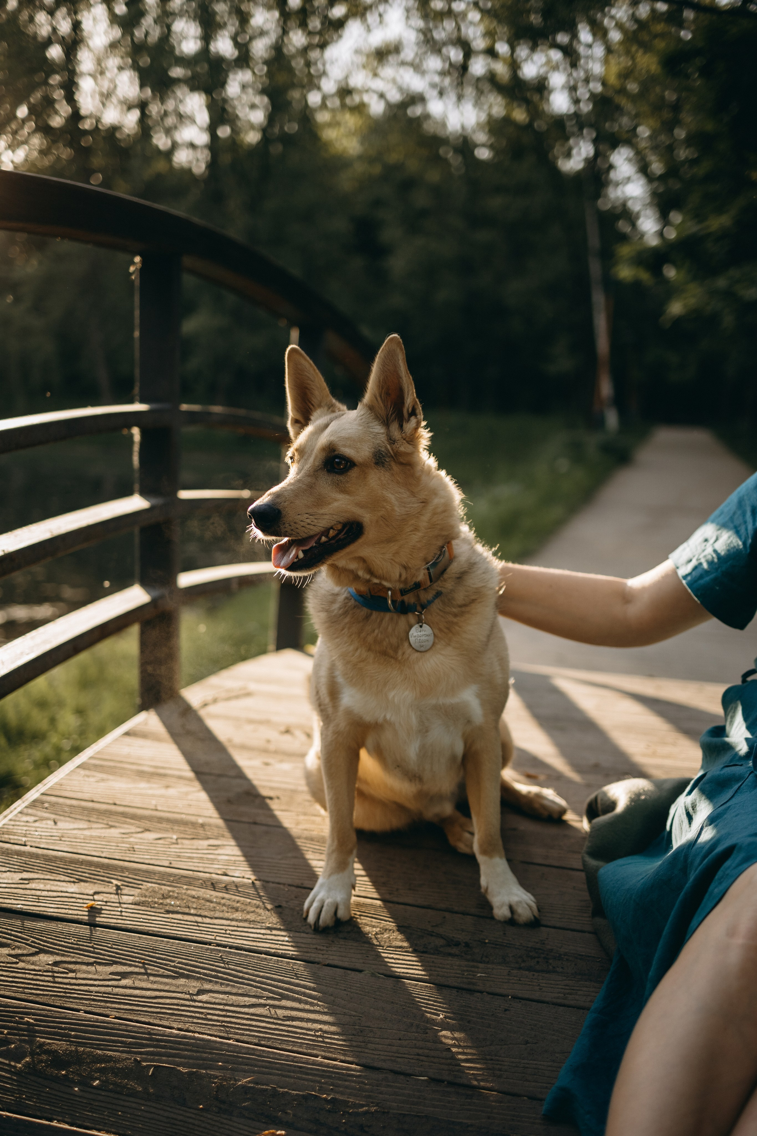 Татьяна, Сергей и их Булочка и Пончик. Фотограф — Анималист | Санкт-Петербург