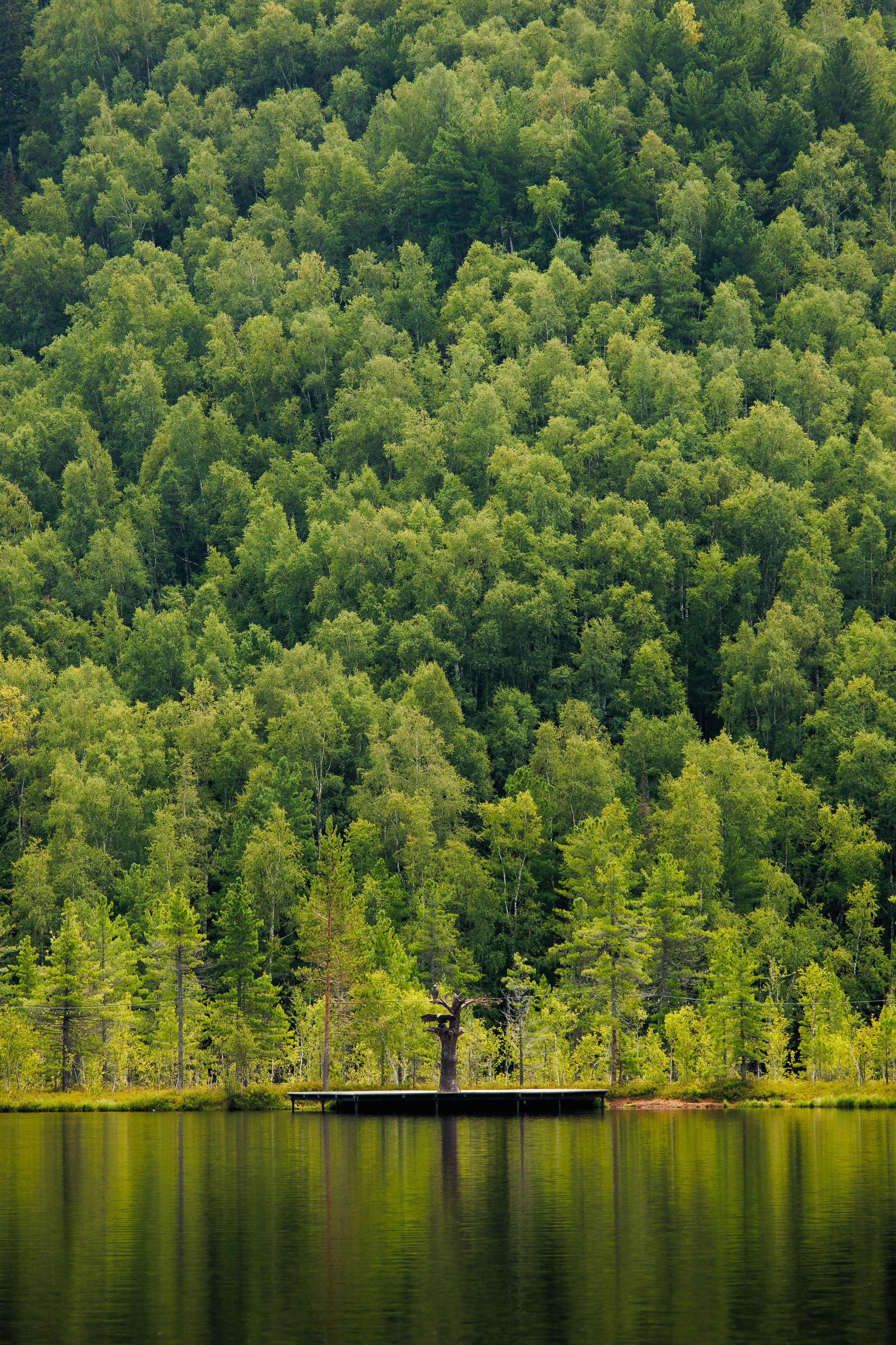 Летний Байкал