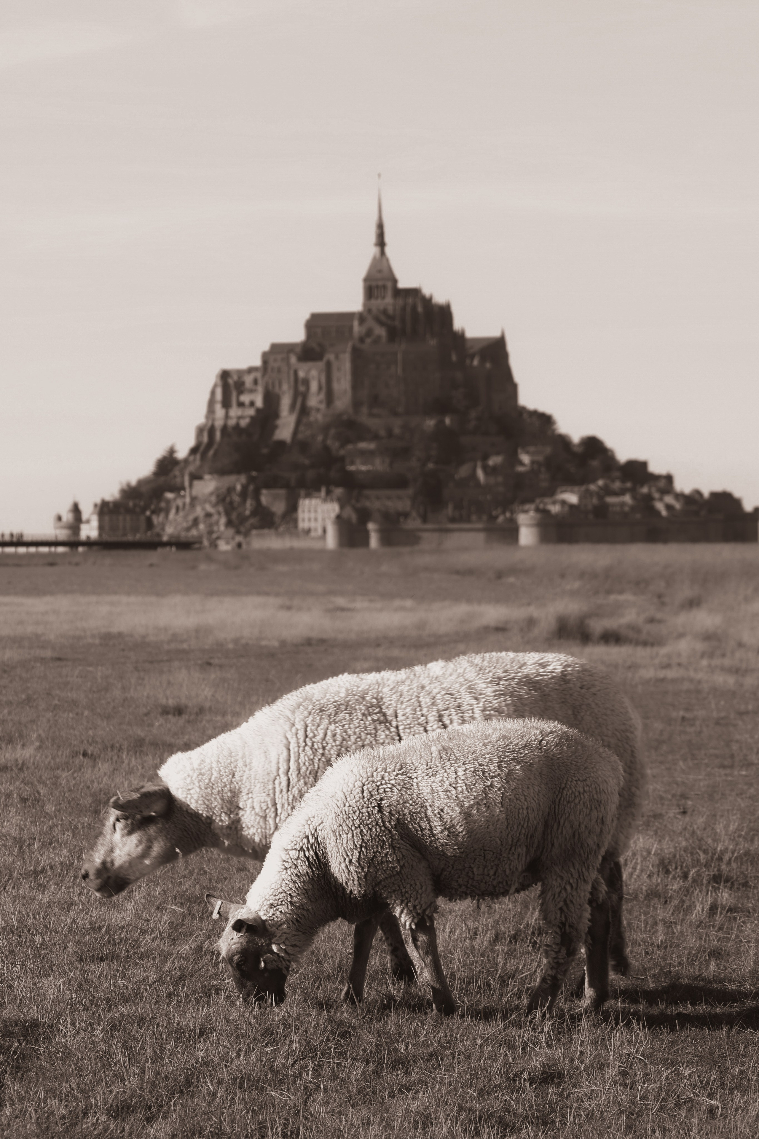 Mont Saint-Michel. Photographer