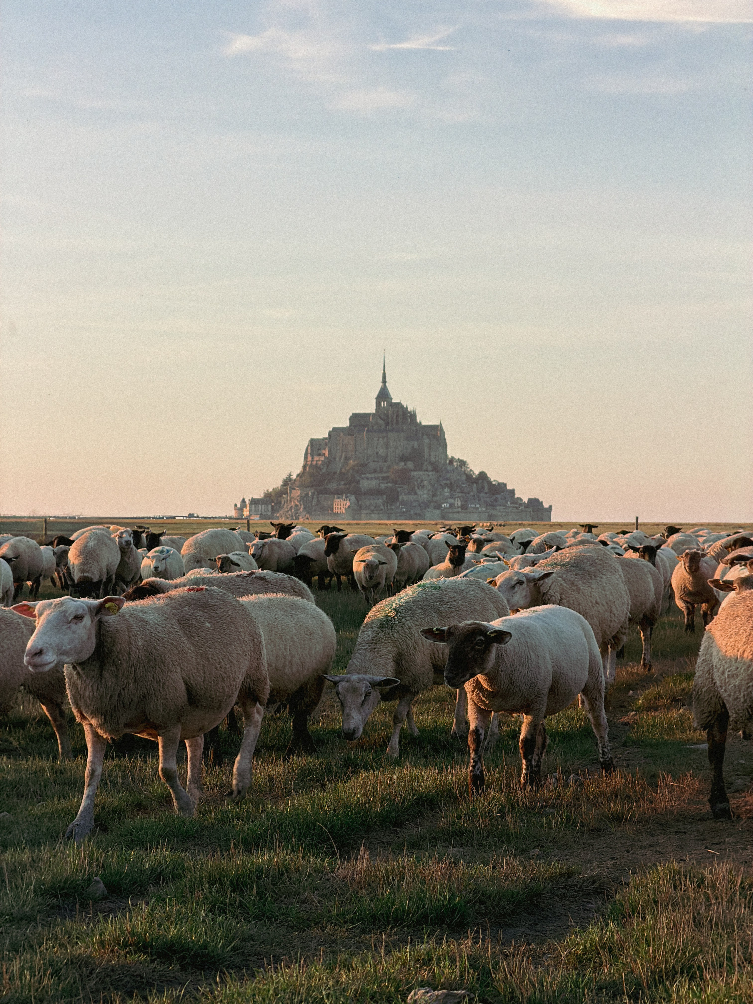 Mont Saint-Michel. Photographer