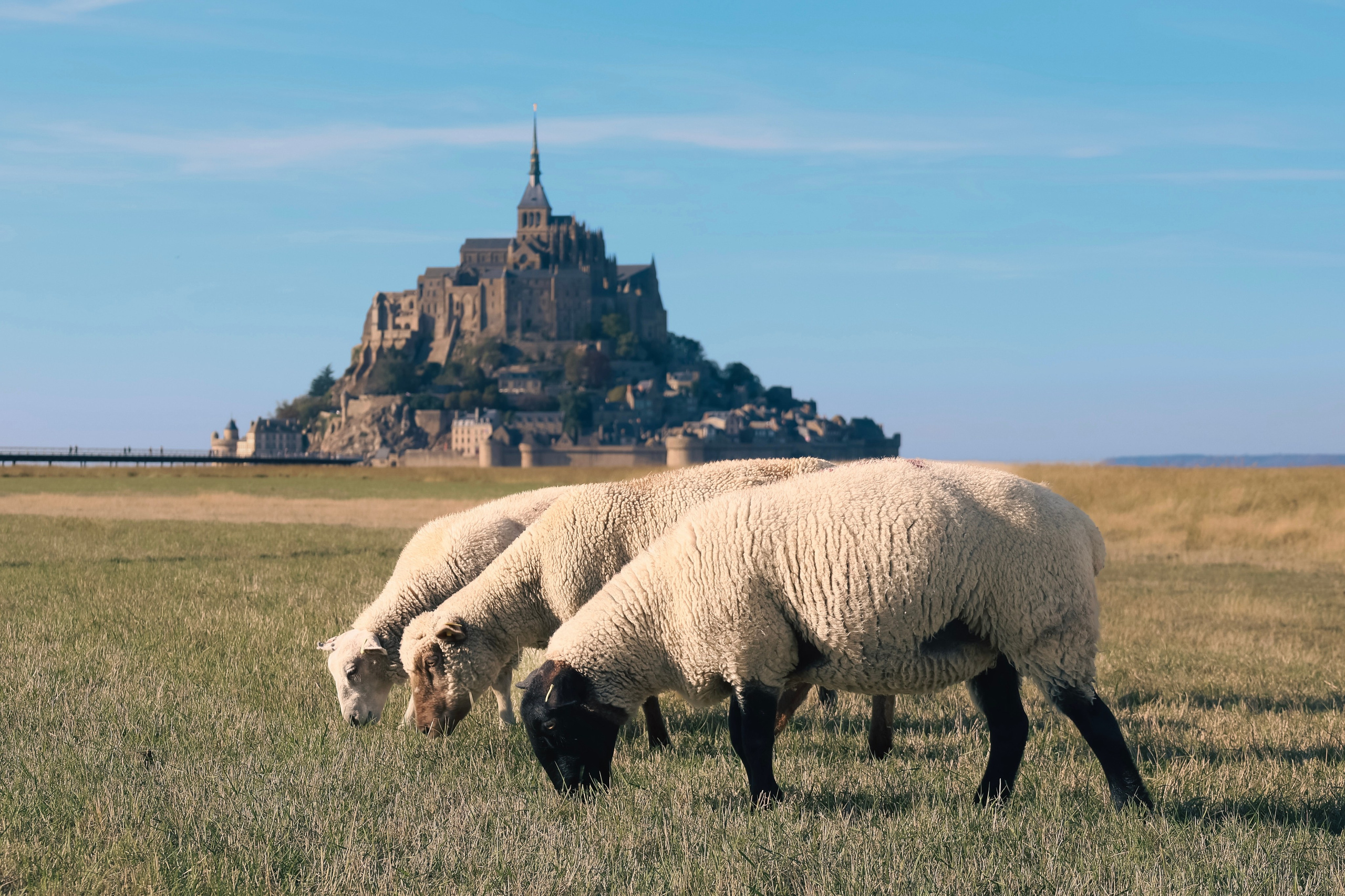 Mont Saint-Michel. Photographer