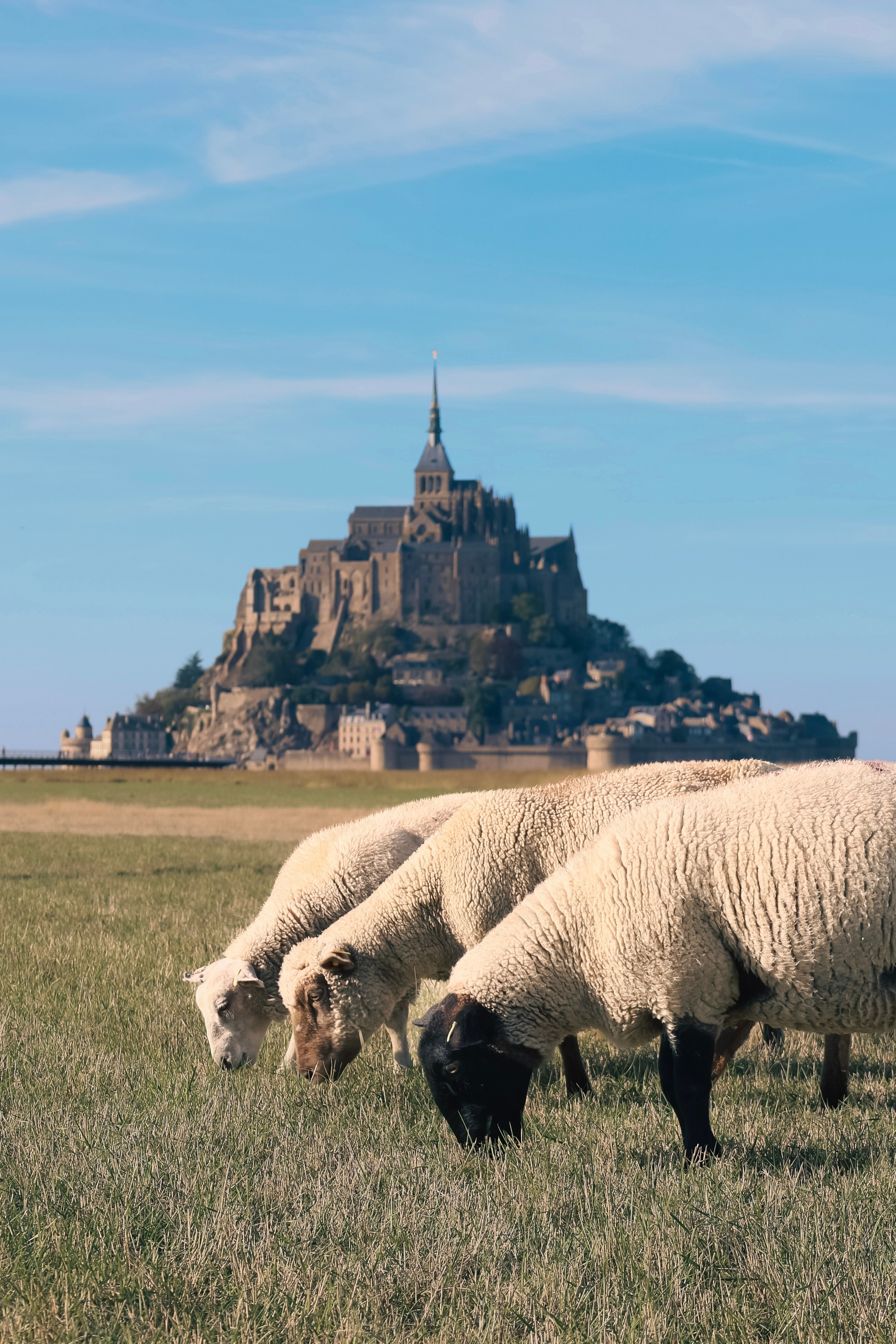 Mont Saint-Michel. Photographer