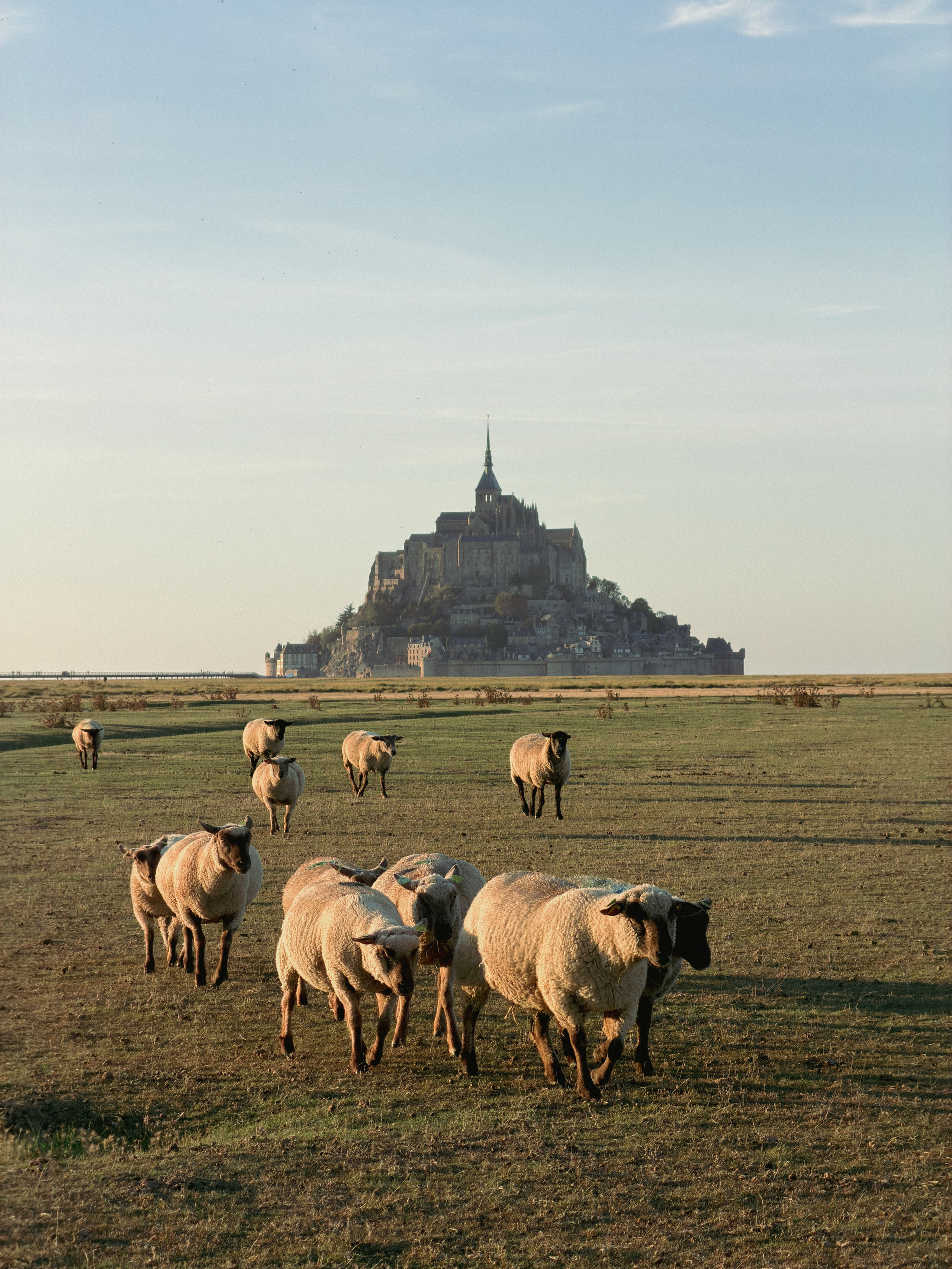 Mont Saint-Michel. Фотограф в Москве