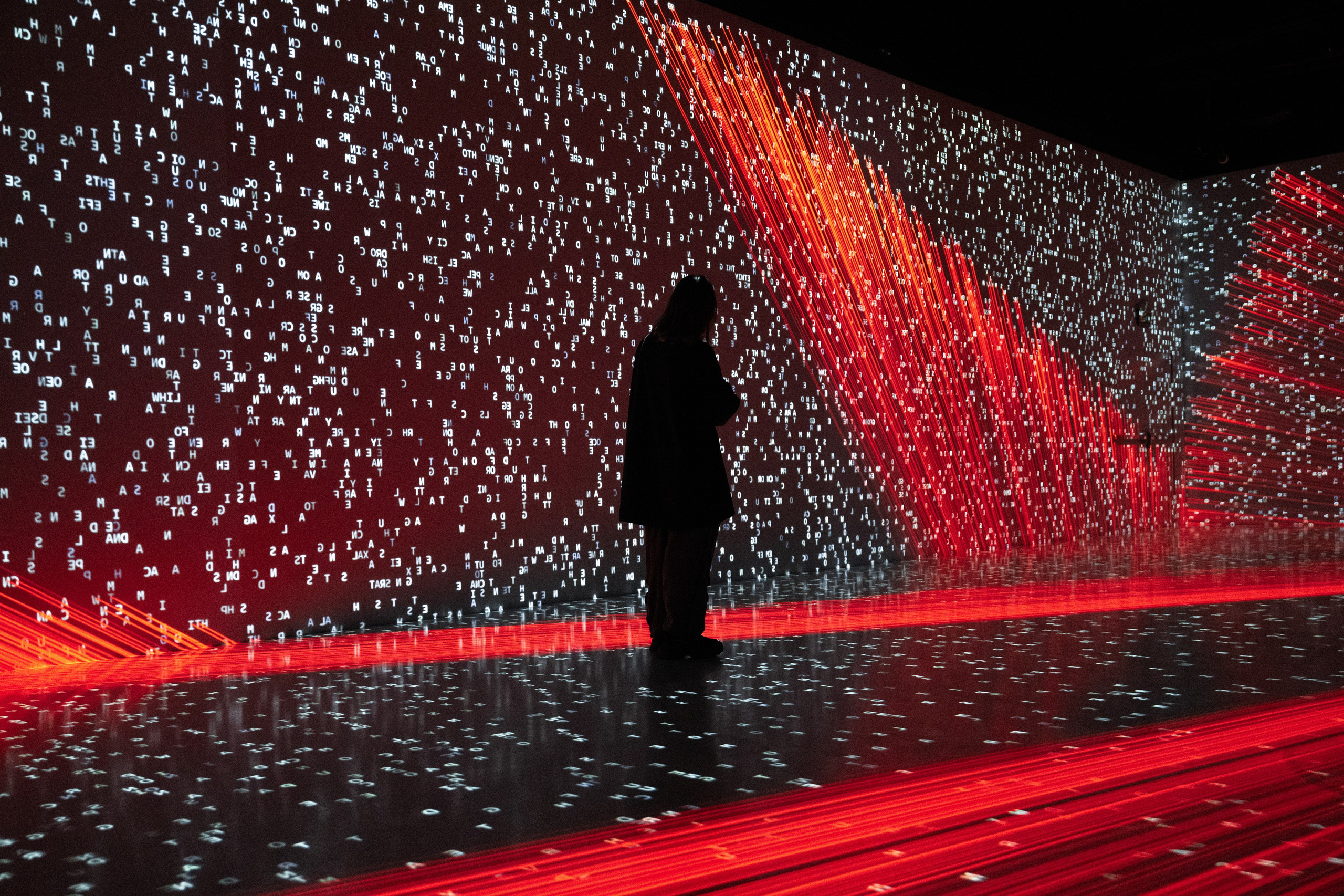 Generative Gallery & Luminar X, Making Magic. @tomrus: Рустам Шагиморданов — фотограф