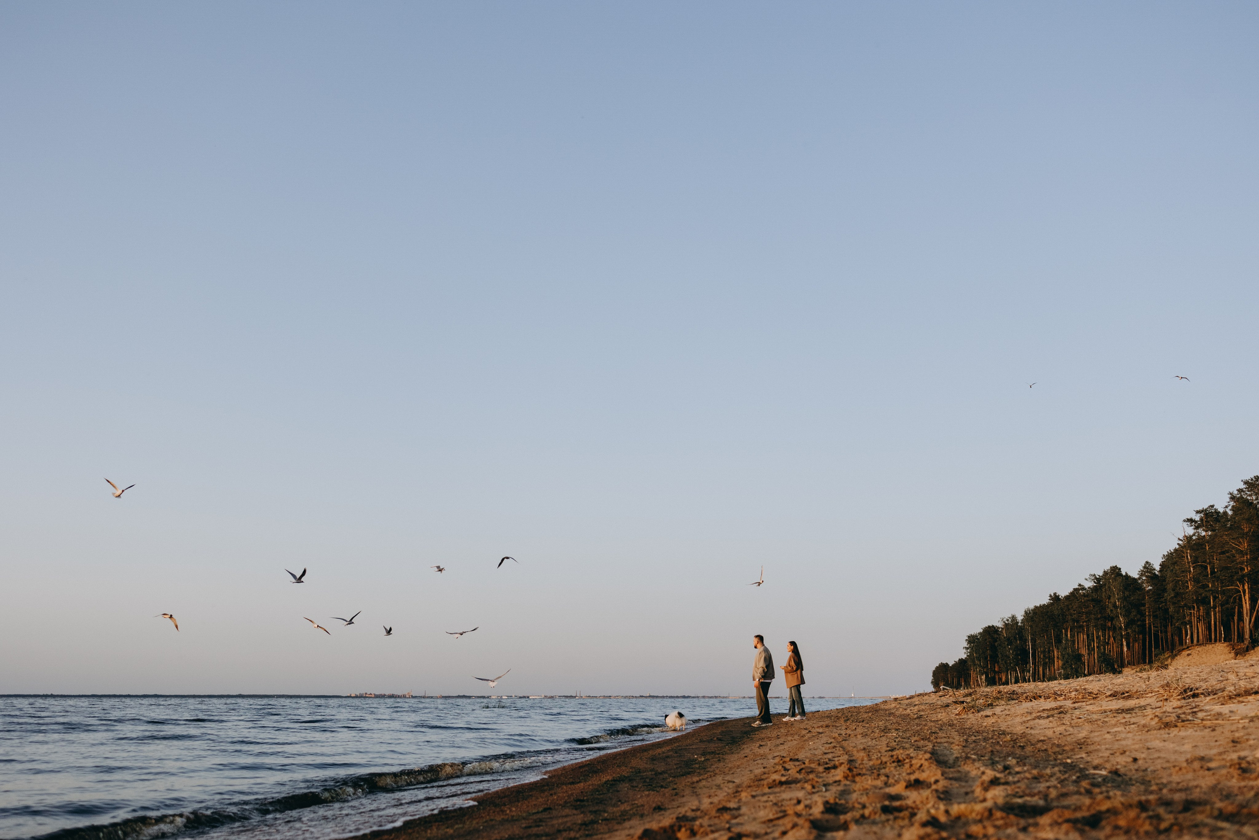 Диана и ее мальчики. Фотограф — Анималист | Санкт-Петербург