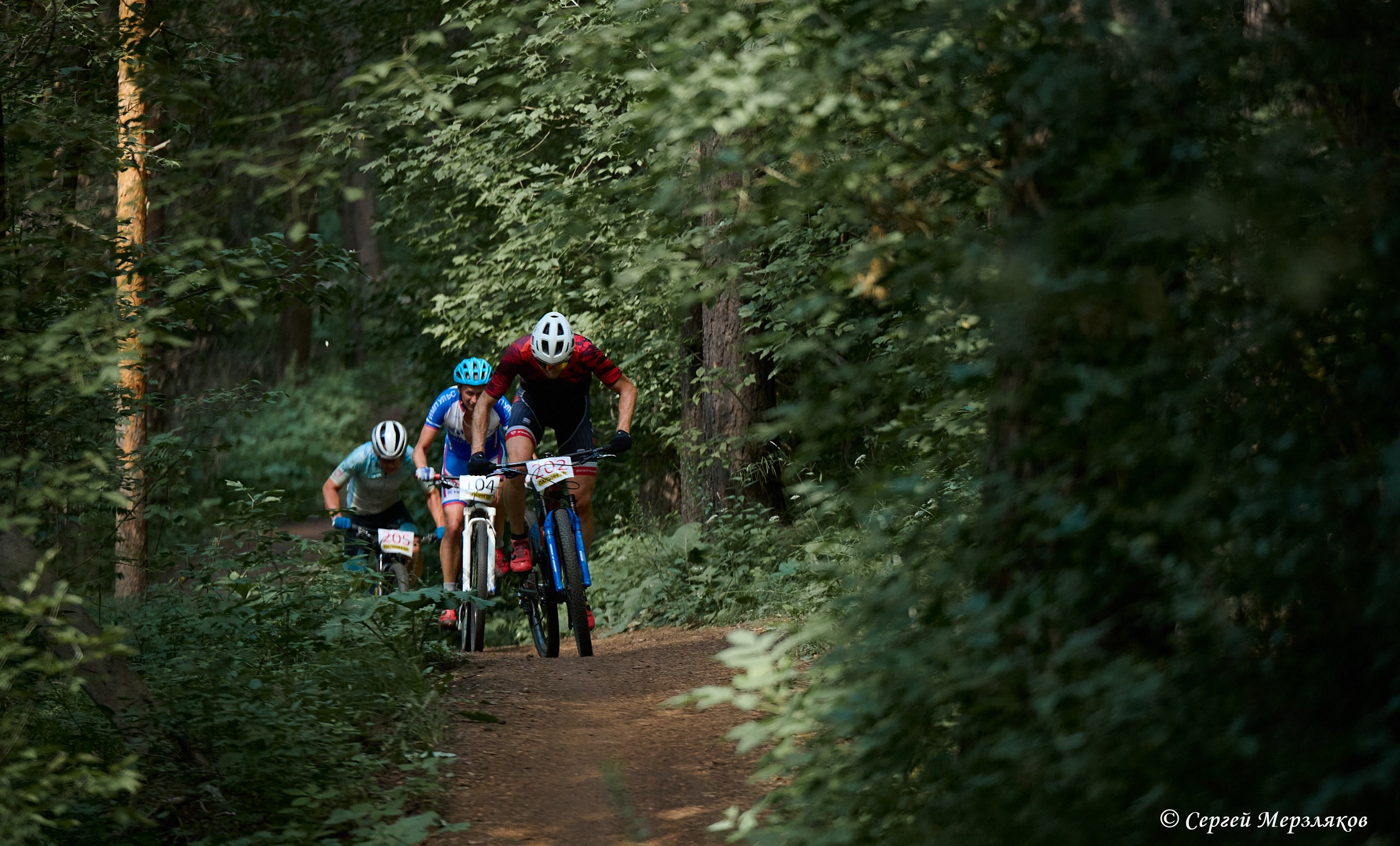 Кубок ПАЛФИНГЕР 2024 (MTB-XCO). Ижевск. 20.07.2024. Спортивный репортажный фотограф в Ижевске Сергей Мерзляков