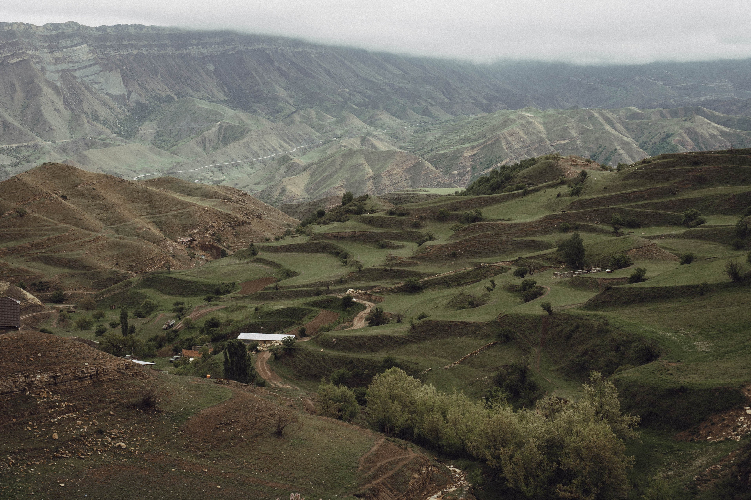 Кавказ. Профессиональный фотограф, Санкт-Петербург — Виктория Богомолова