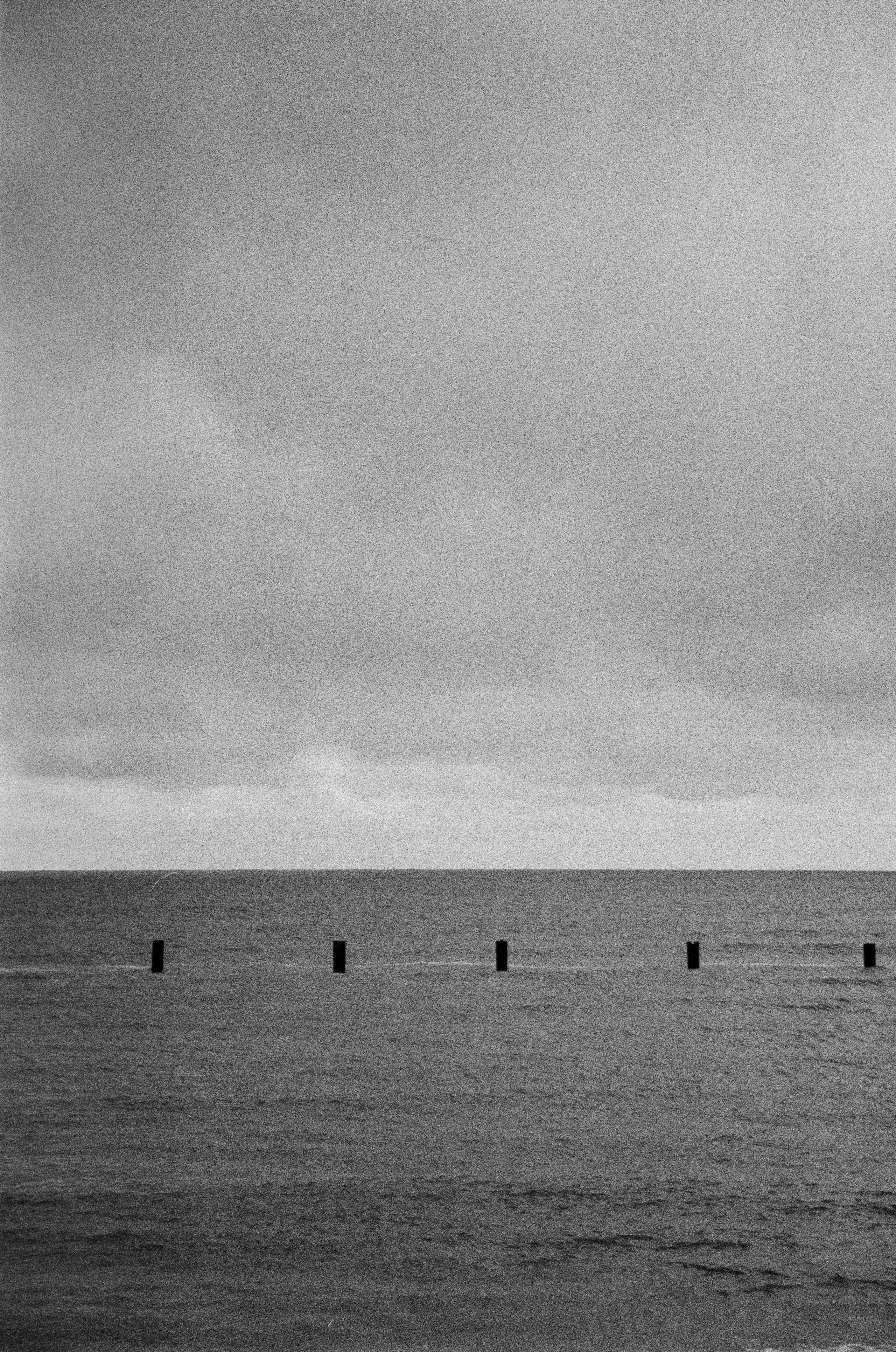 Пленка ЧБ. Фотограф Соня с Земли