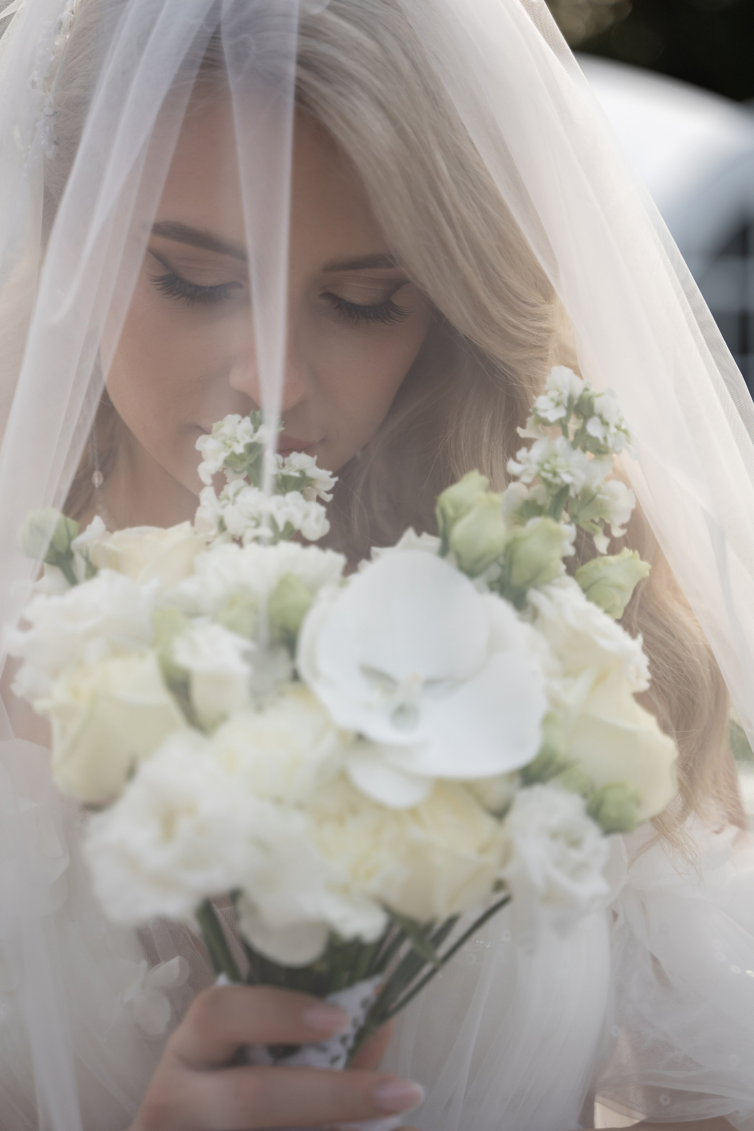 Портфолио. Фотограф Владислав Телешун (г. Москва)