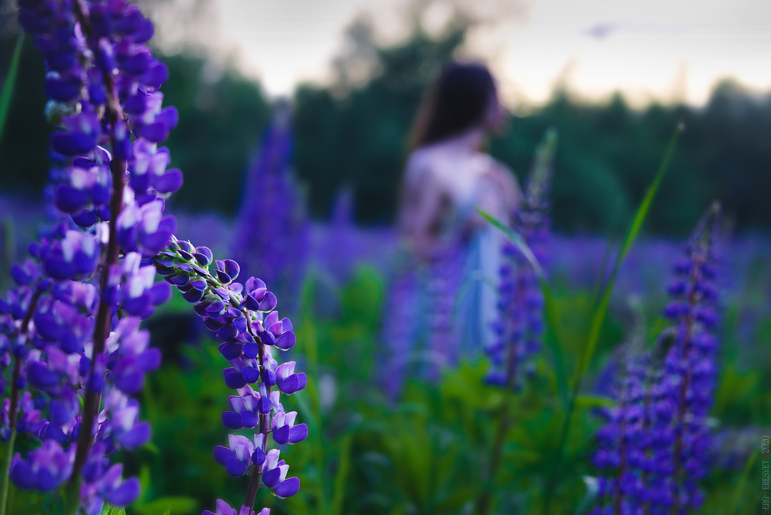 Будуар. Your photographer for a holiday in Moscow, Ramenskoye, Zhukovsky, Lyub