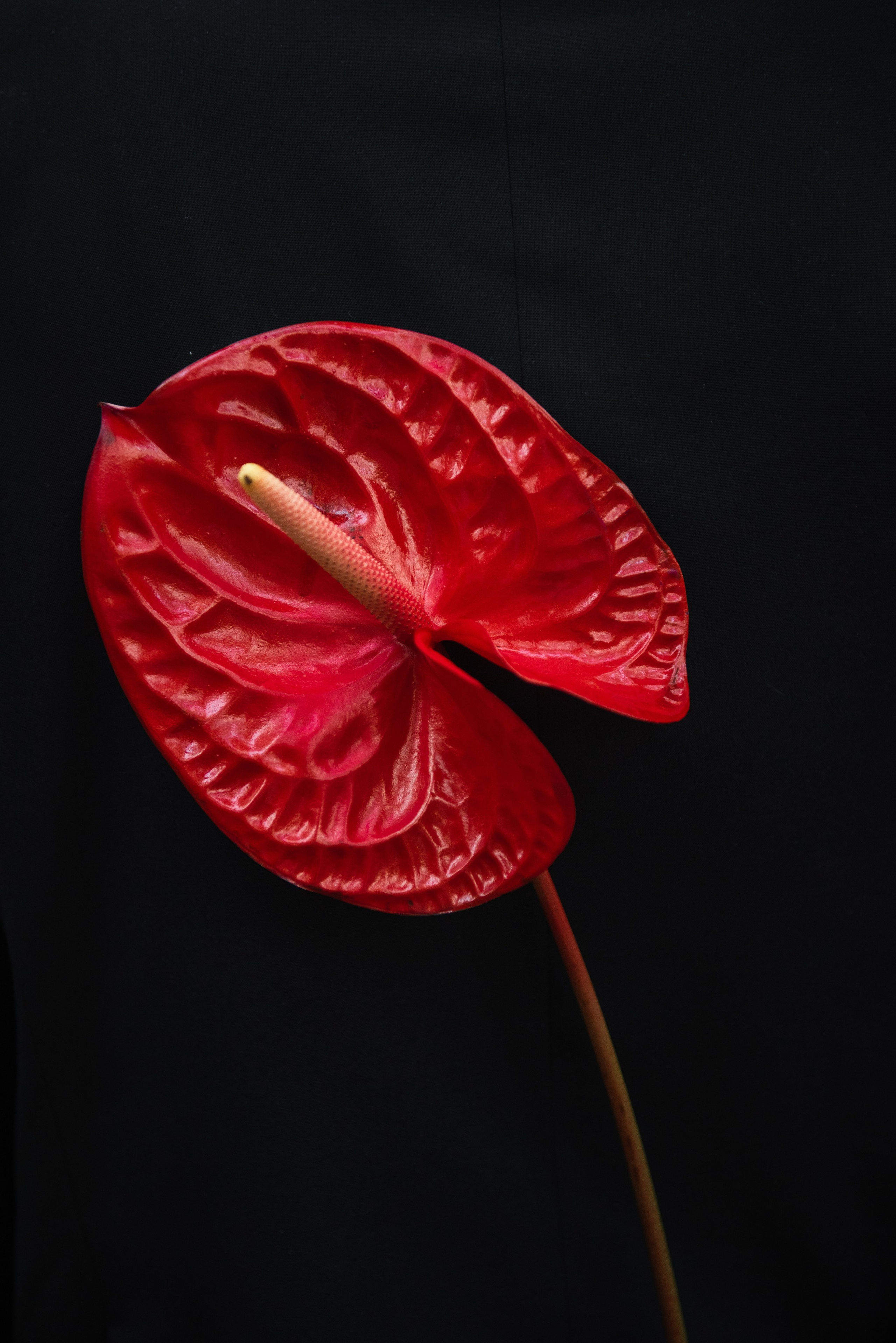 Альберт и Ася. Свадебный и портретный фотограф на Алтае Кузнецова Людмила