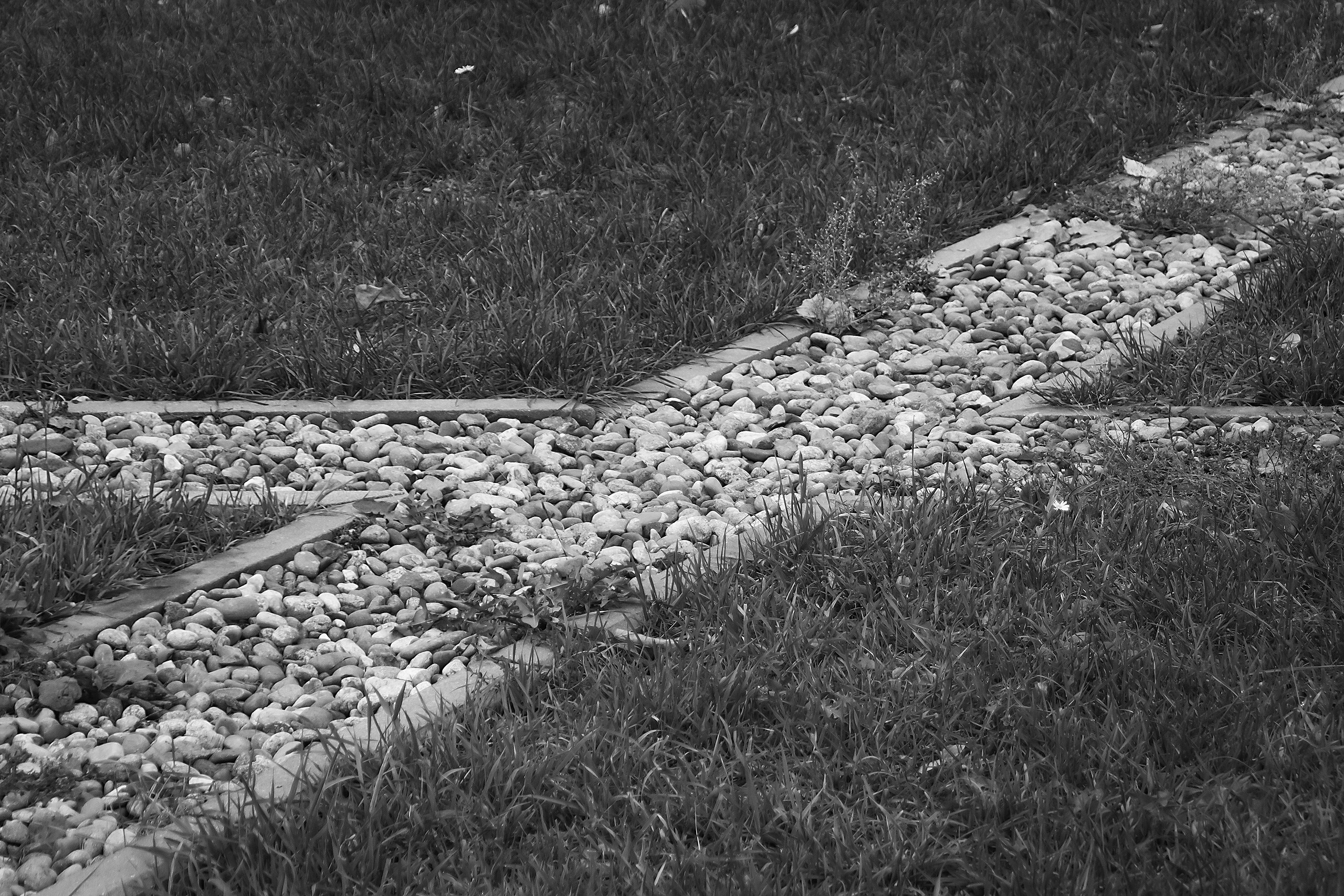 Границы и Рамки. Аmat Victoria Сuram