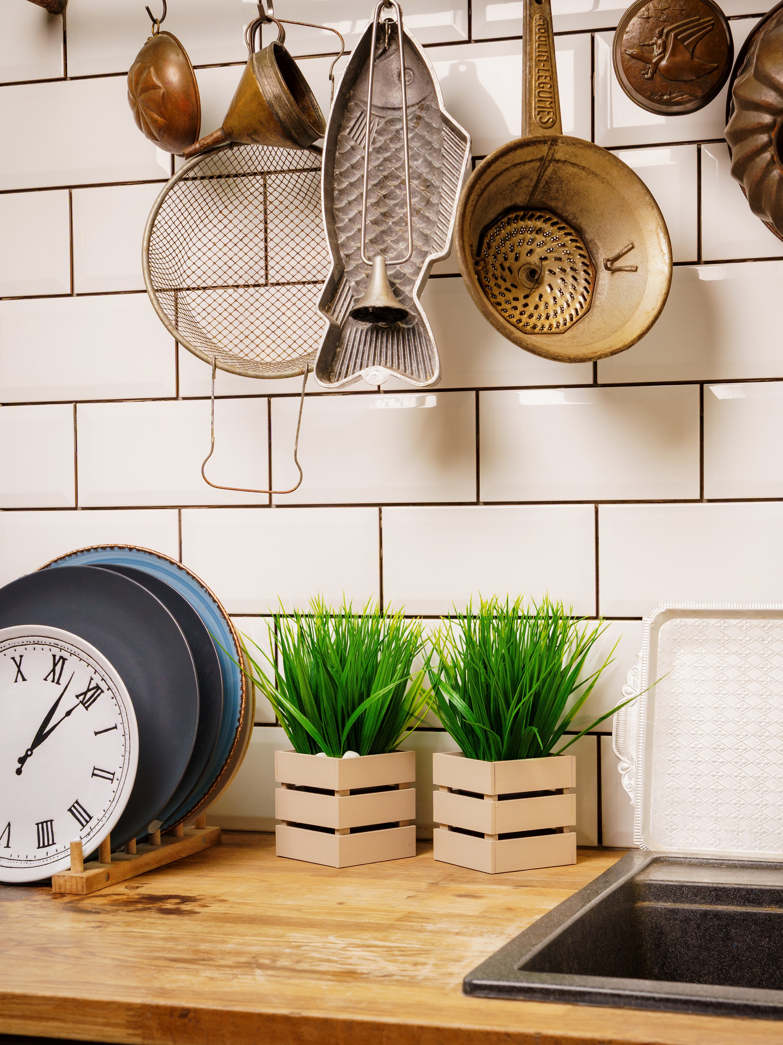 Кашпо. Макаров Сергей|Creamlebot Фотограф города Ростов-на-Дону