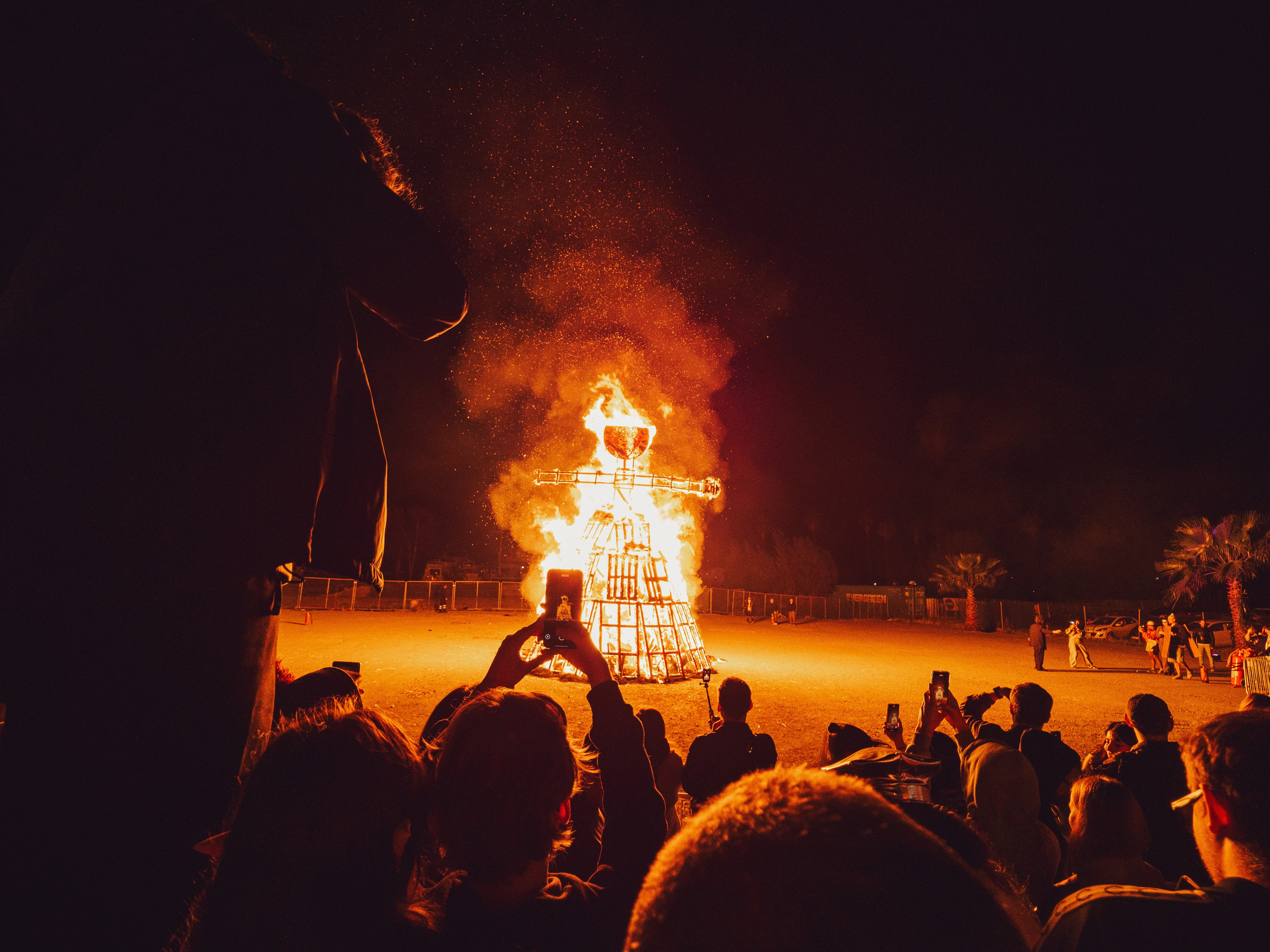 Cyberness market Carnaval. Свадебный и семейный фотограф Ирина Чернова