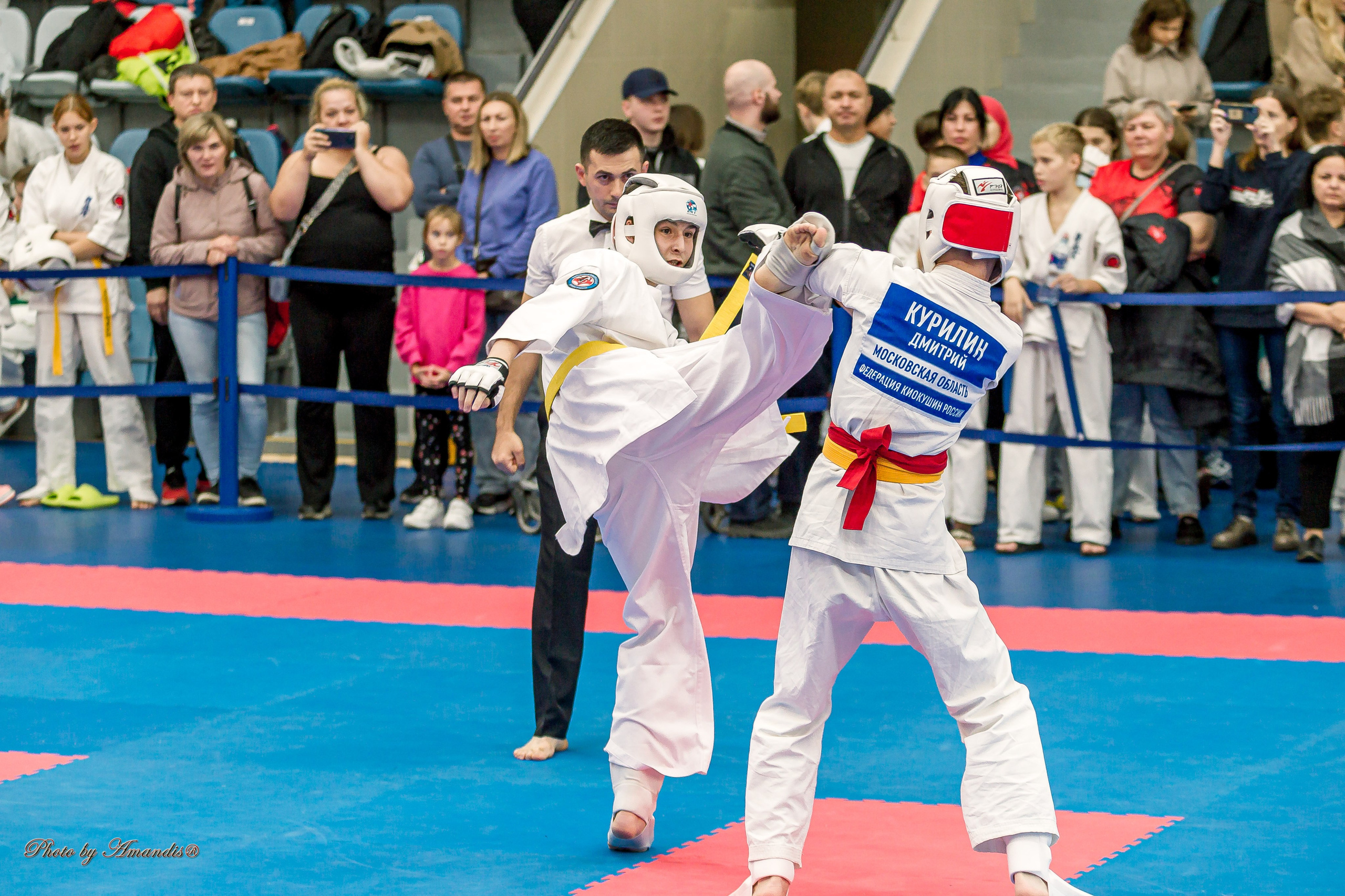 Чемпионат по Киокушинкай Центрального Федерального округа. Репортажная съемка в Москве и области. Анималистика