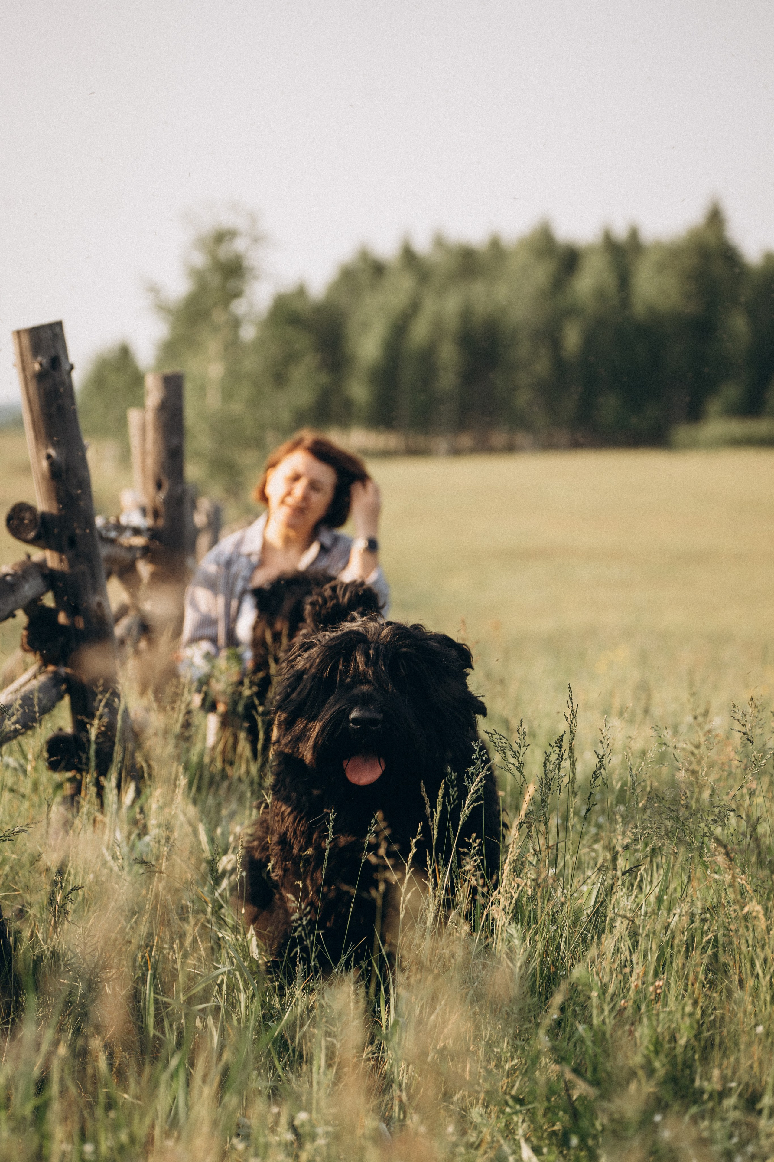 Лариса, Кира и Грэйс. Фотограф-анималист Анастасия Большакова