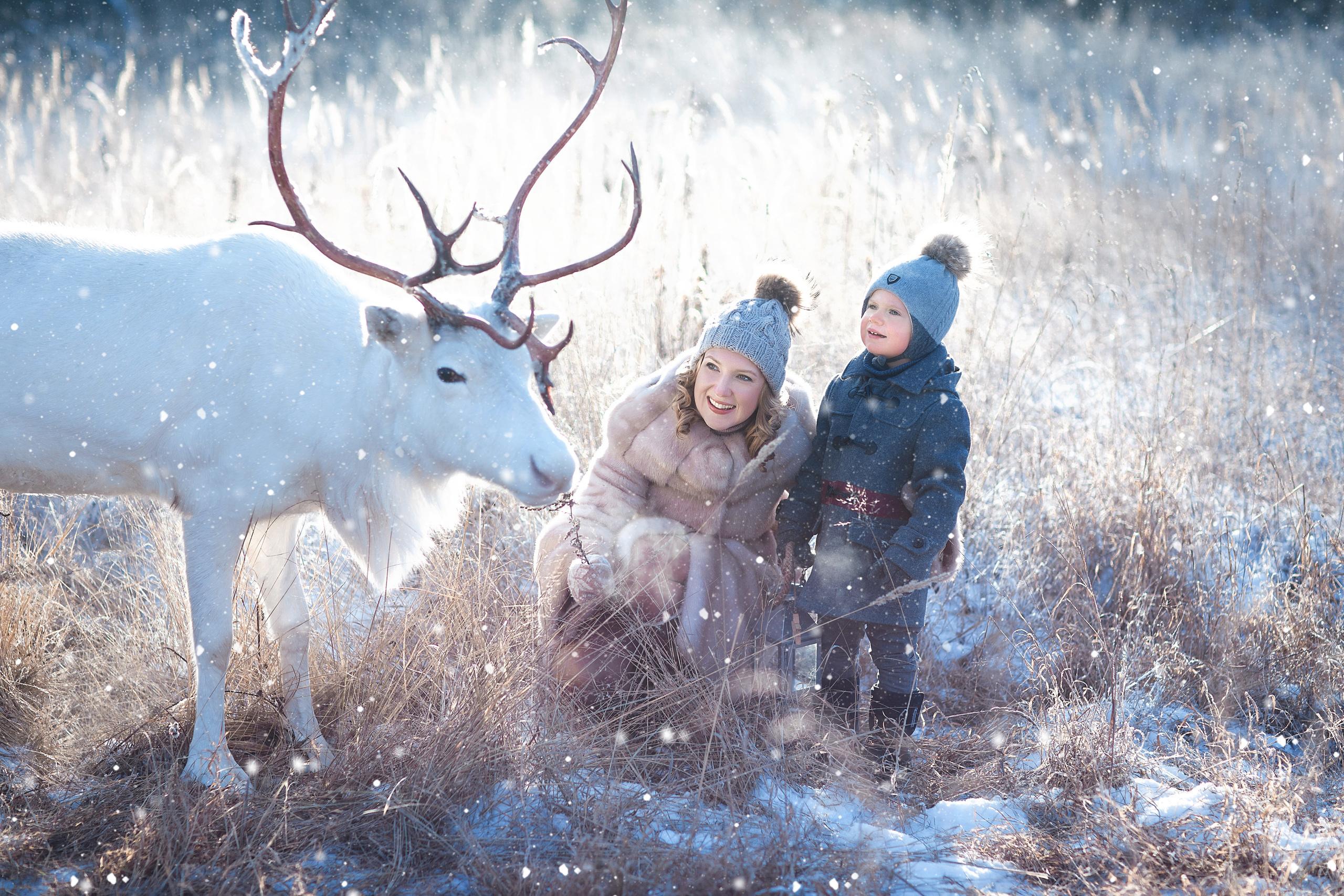 Фотосессии с оленями. Фотограф Лия Милк | Москва, Подмосковье