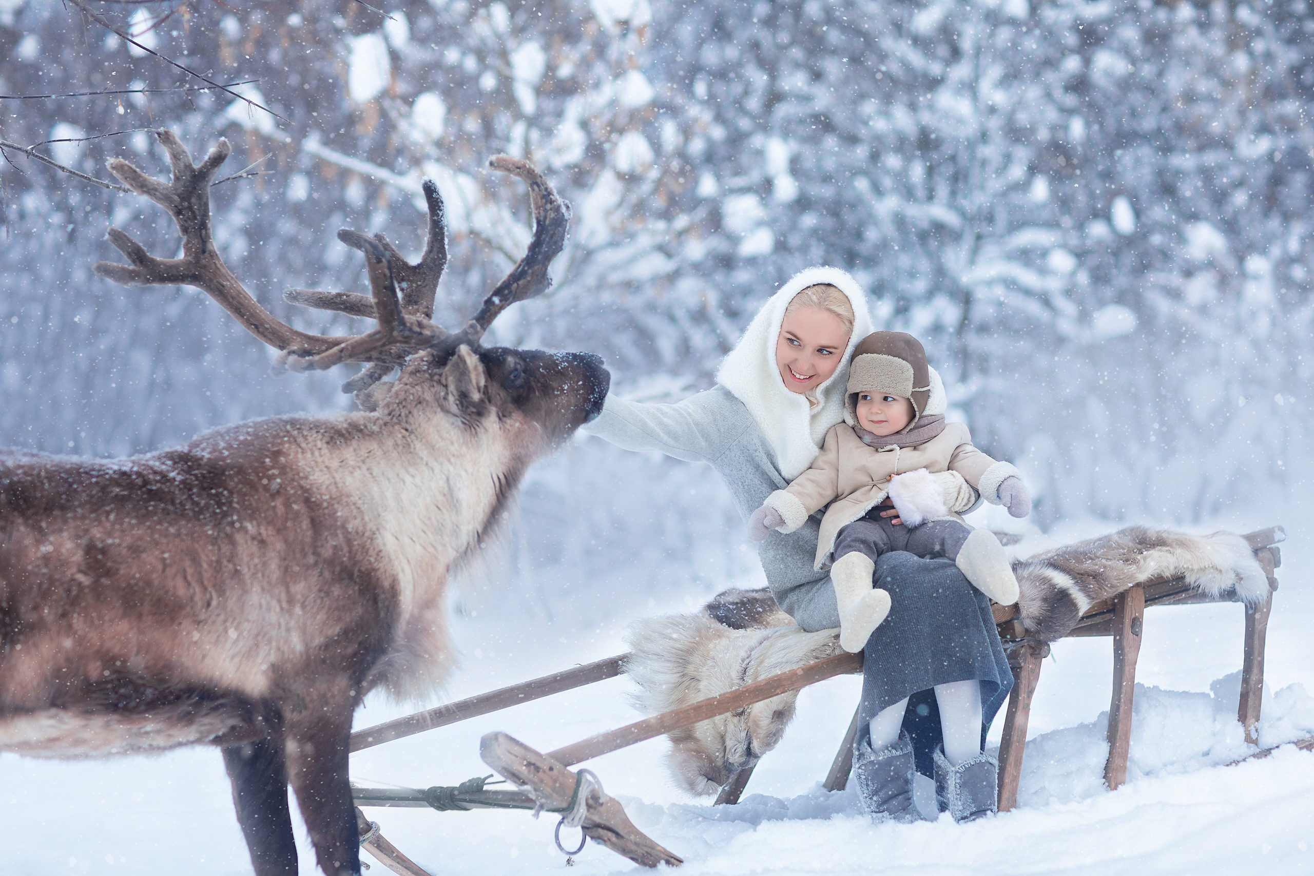 Фотосессии с оленями. Фотограф Лия Милк | Москва, Подмосковье