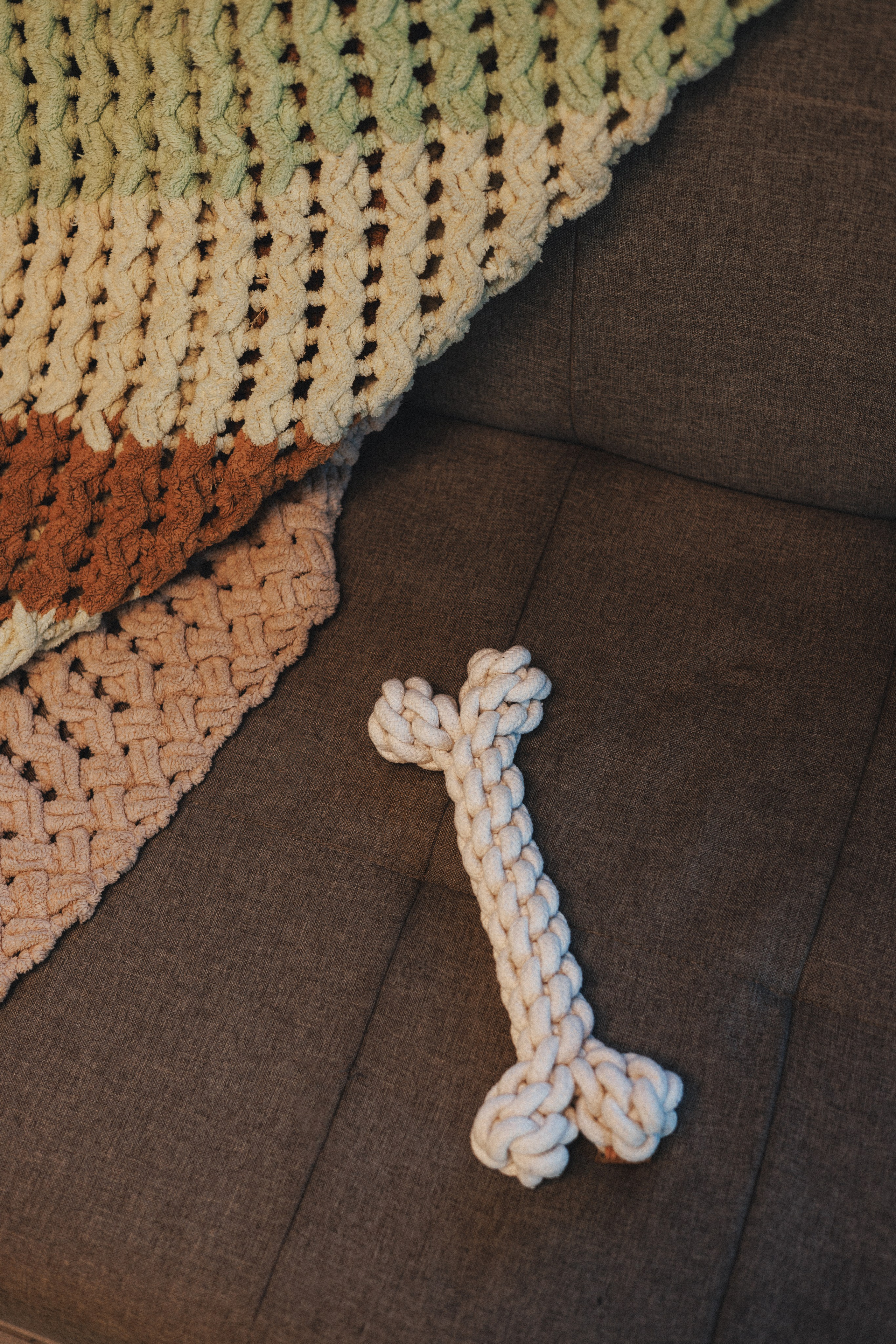 M-Pets. Фотограф анималист Осипчикова Мария