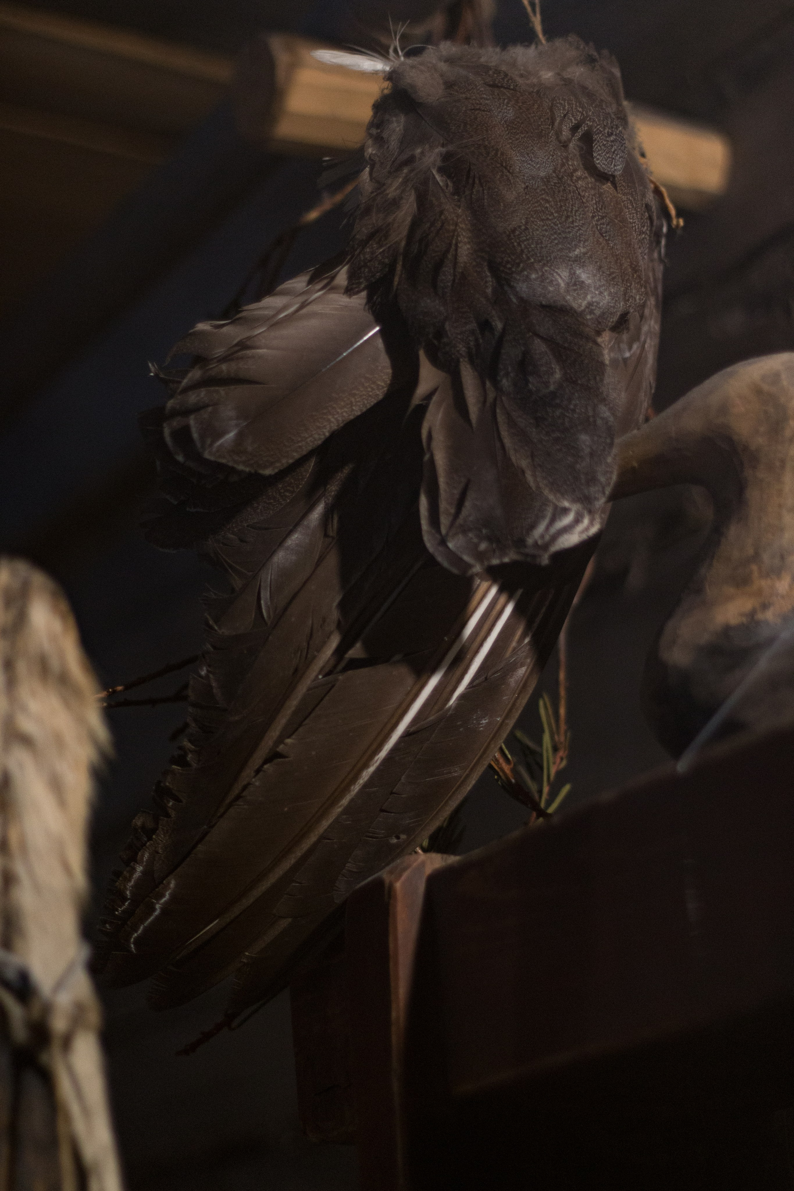 Русский Север, Малые карелы. Фотограф в Сочи