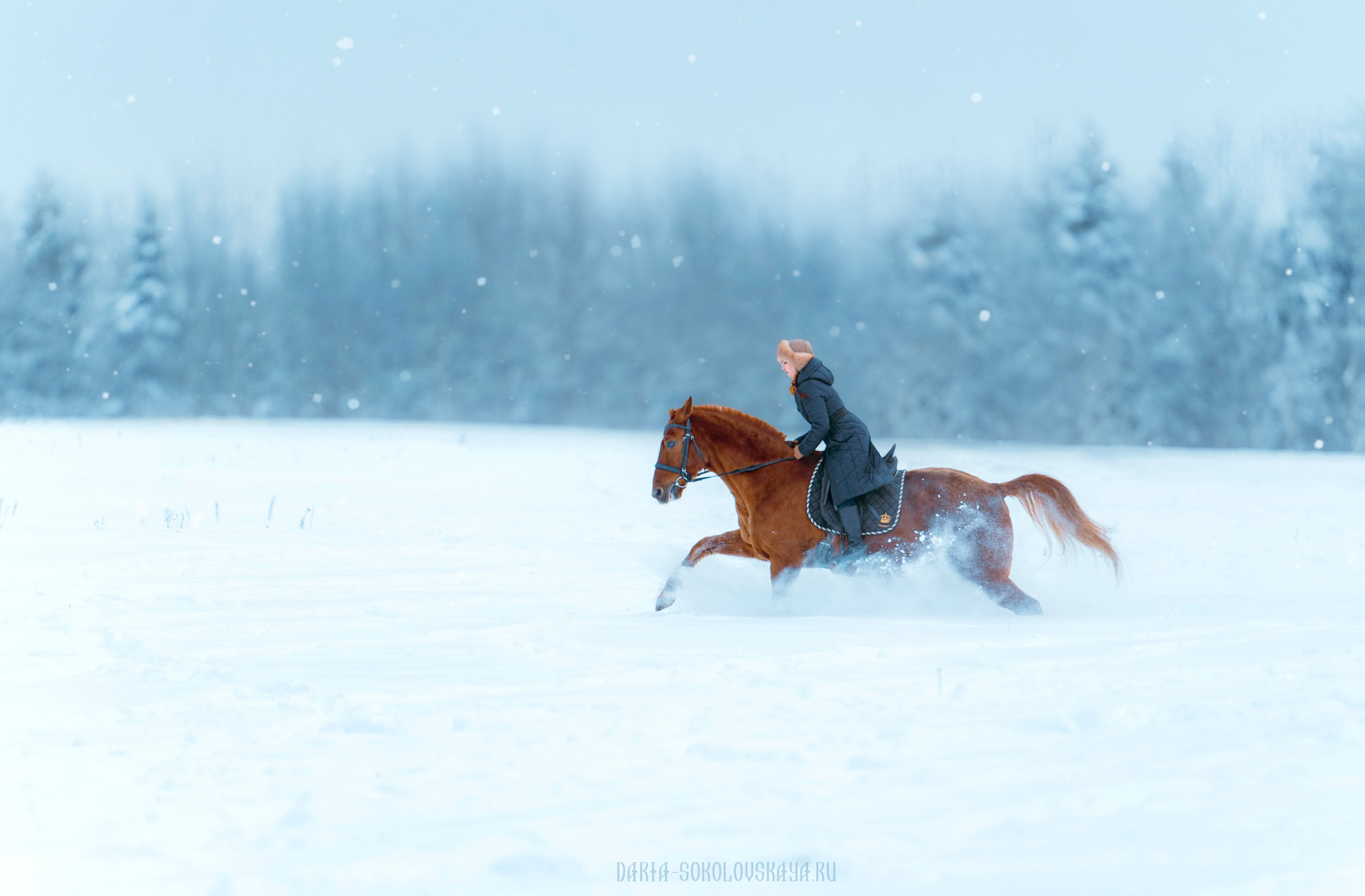 Зимнее поле. Фотограф Дарья Соколовская