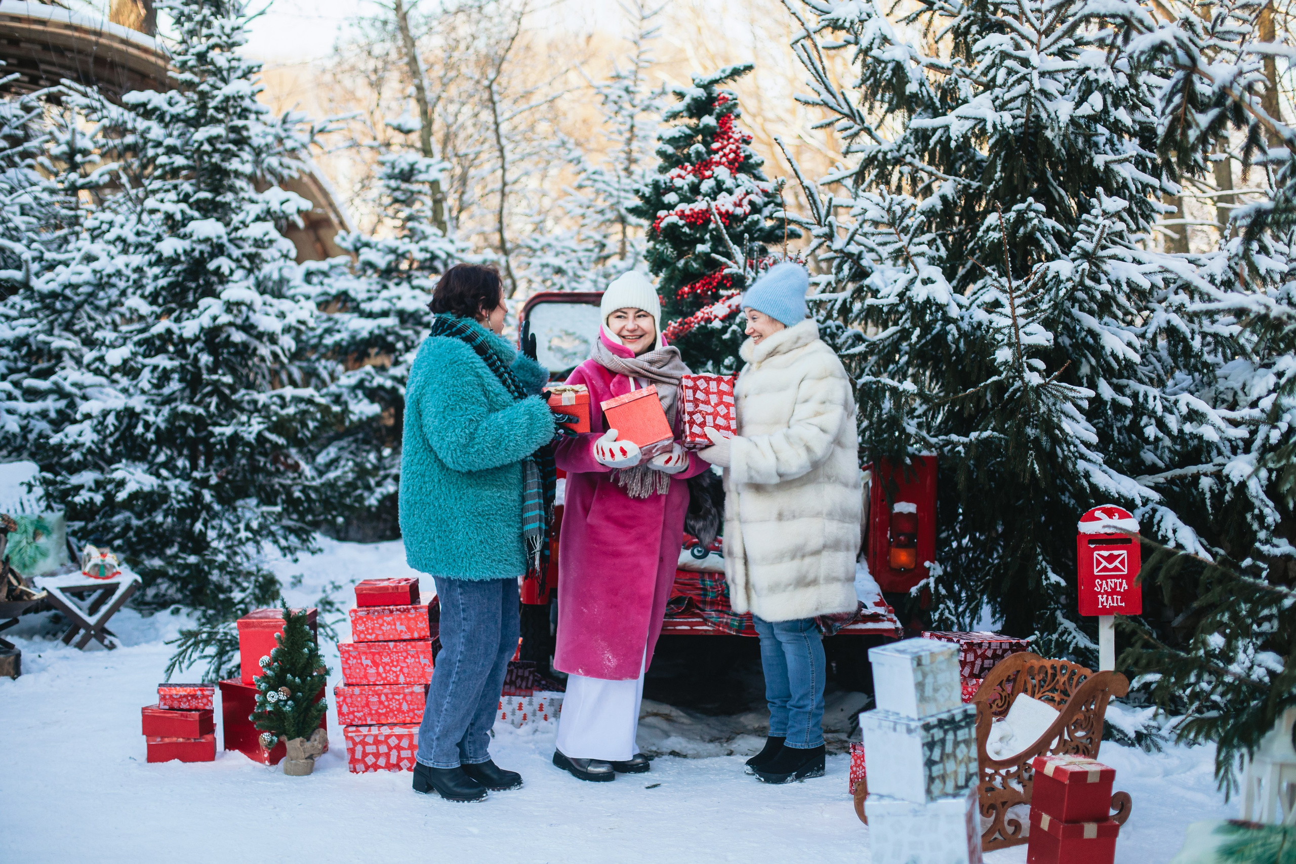 Зингер дача. Фотограф-анималист Татьяна Степанова