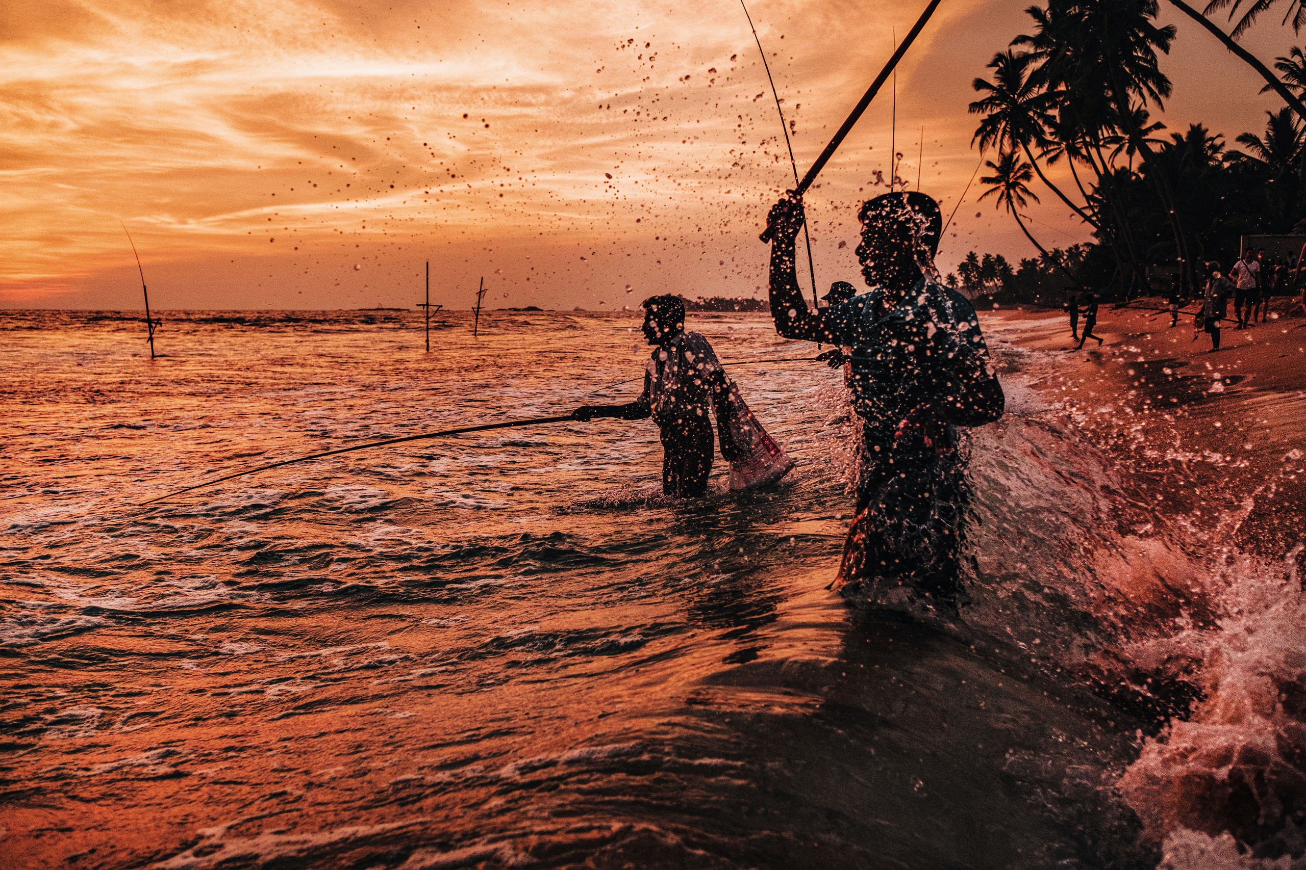 Sri Lanka. Photographer Konstantin Gribov