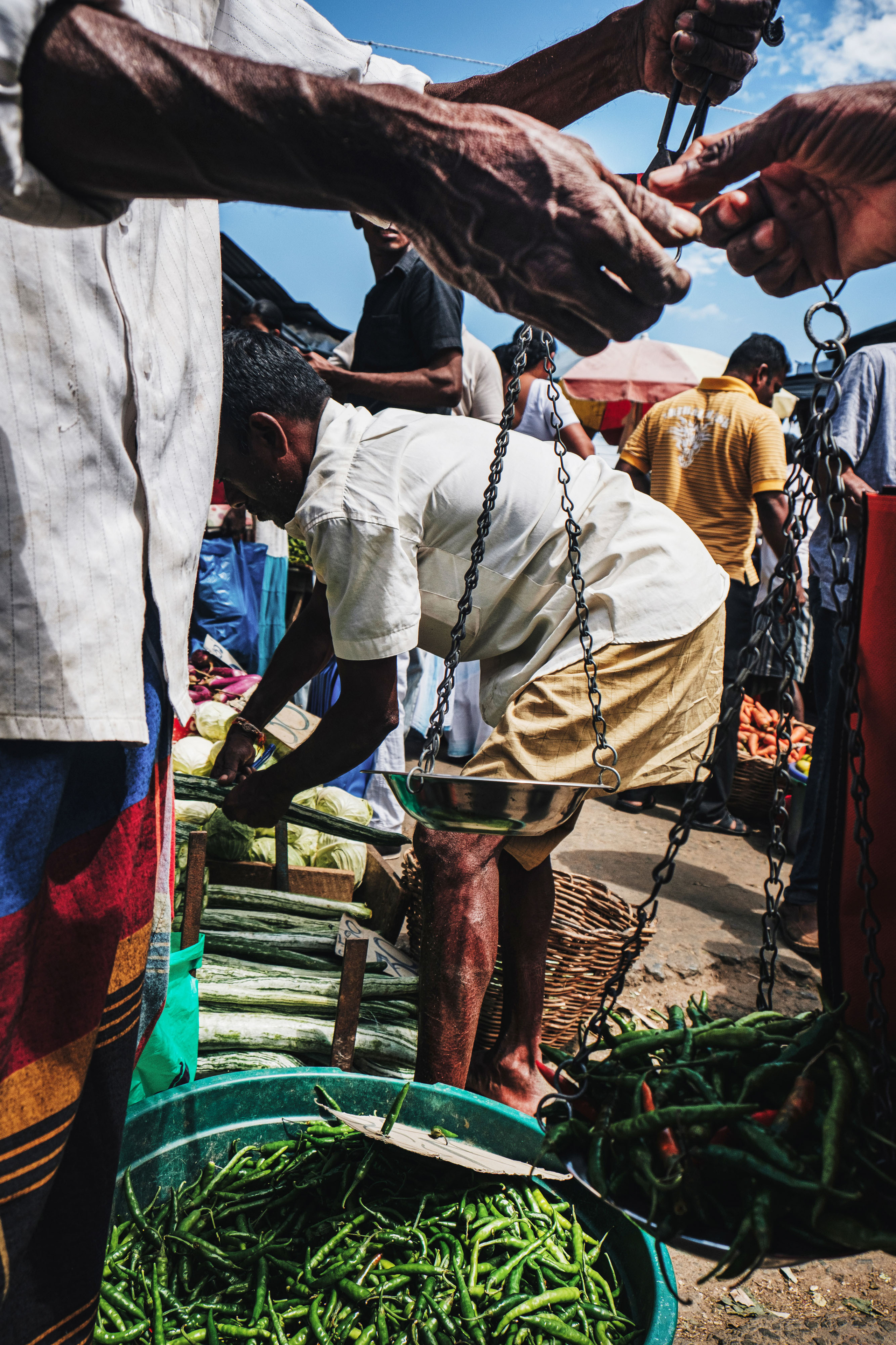 Sri Lanka. Photographer Konstantin Gribov