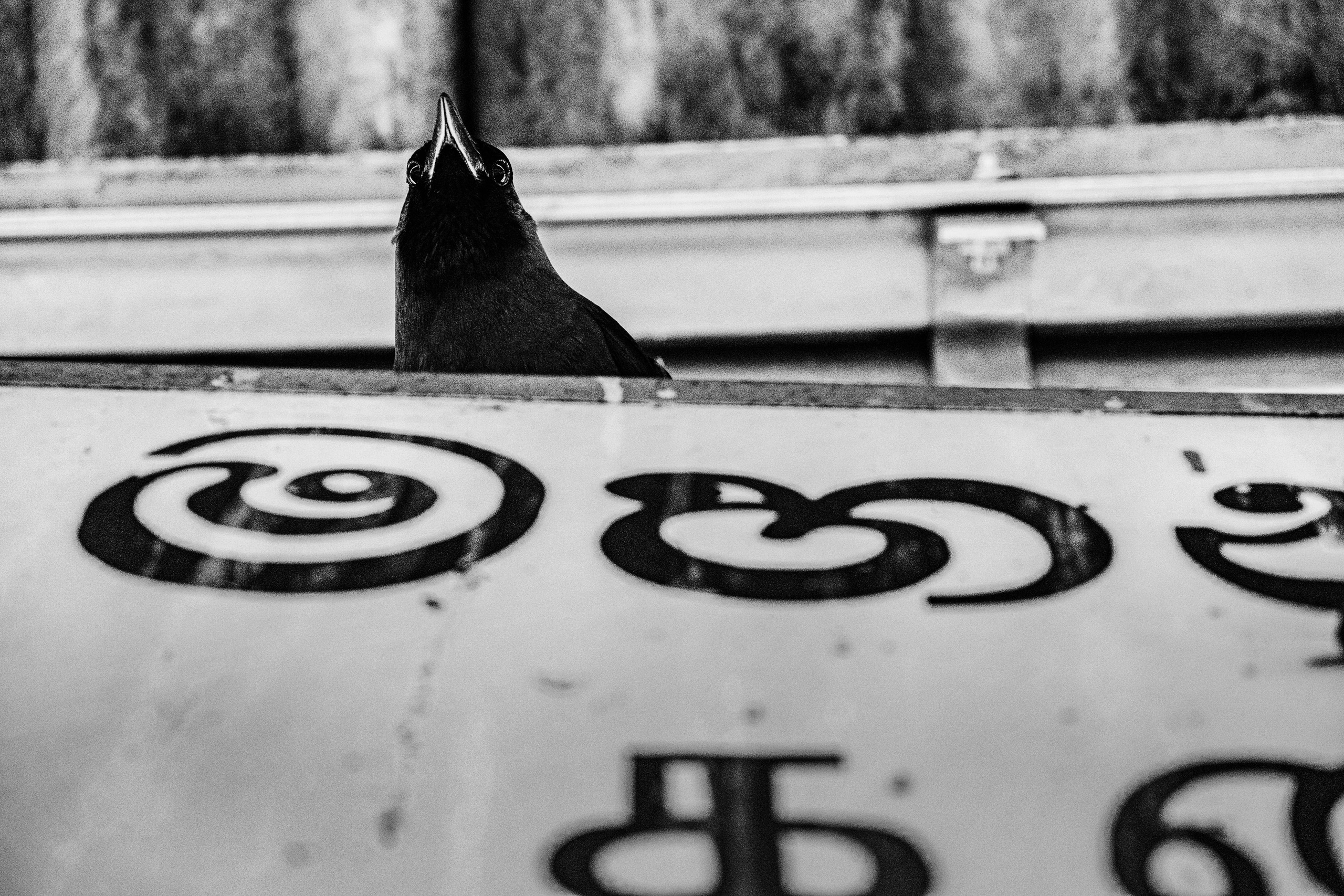 Sri Lanka. Photographer Konstantin Gribov