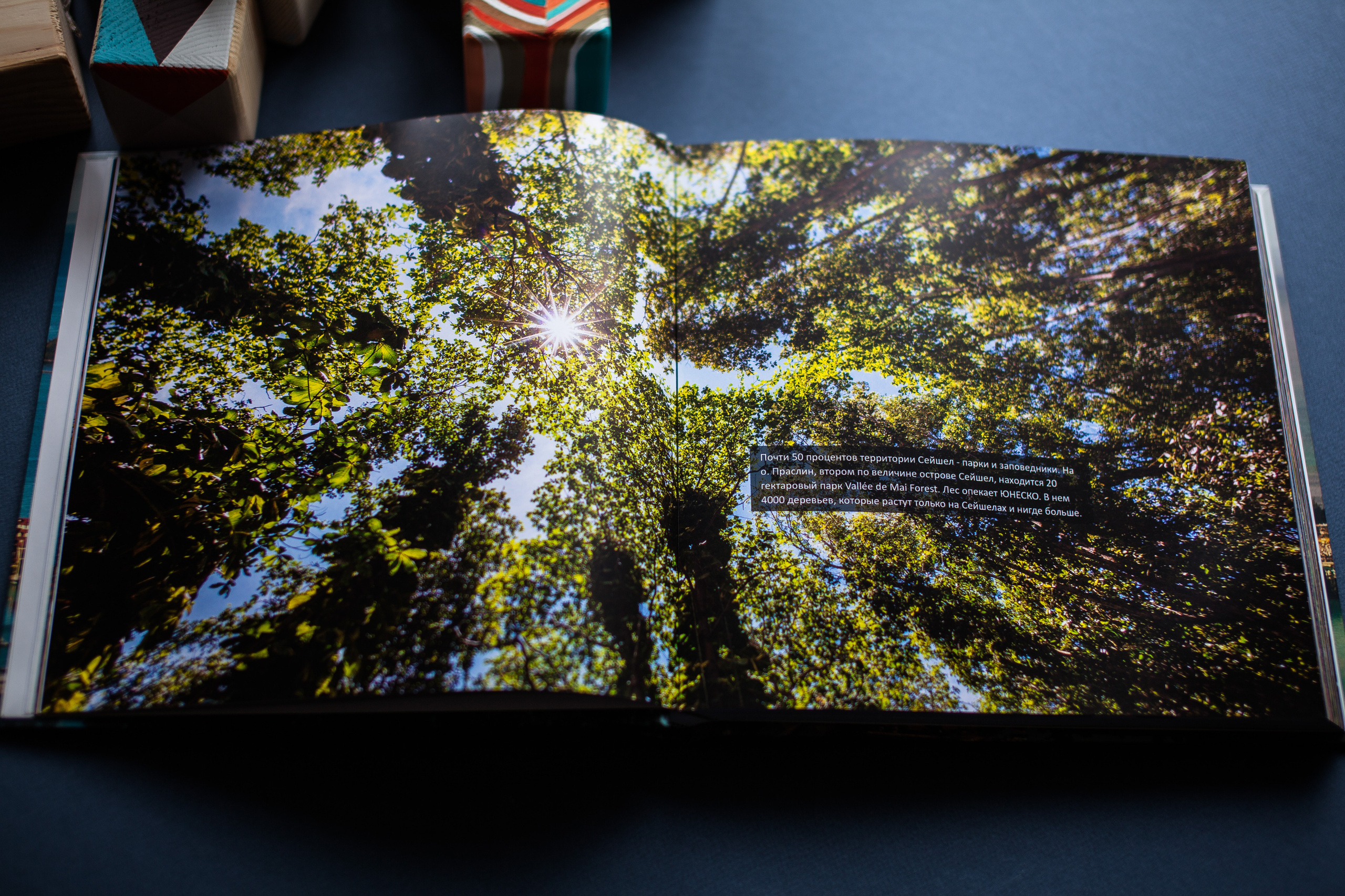 Сейшельская книга. Фотограф Константин Грибов в Москве