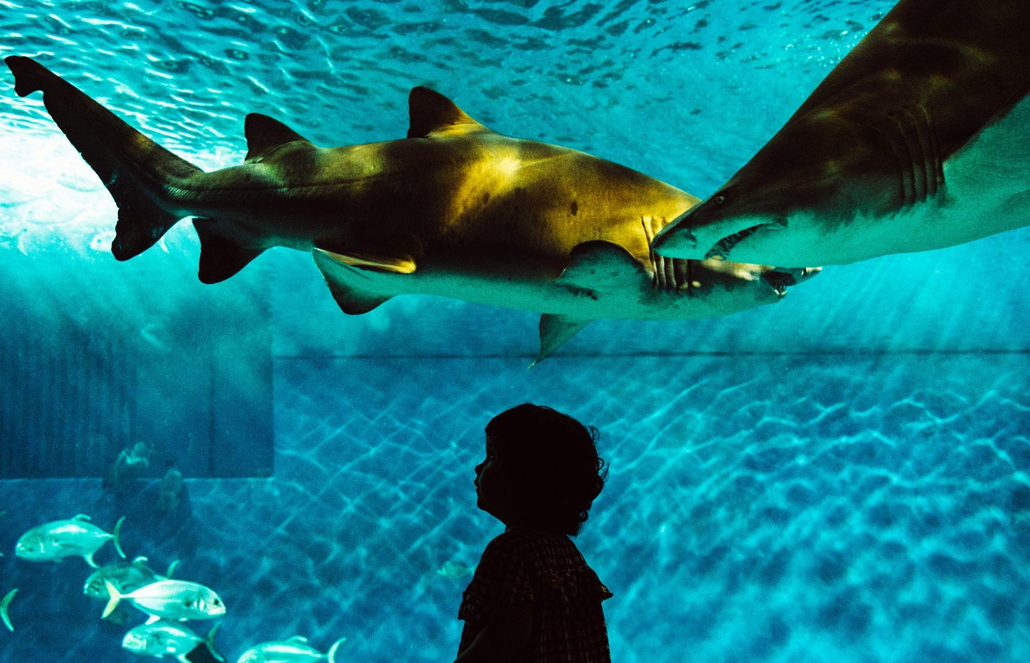 Andalucia. Photographer Konstantin Gribov