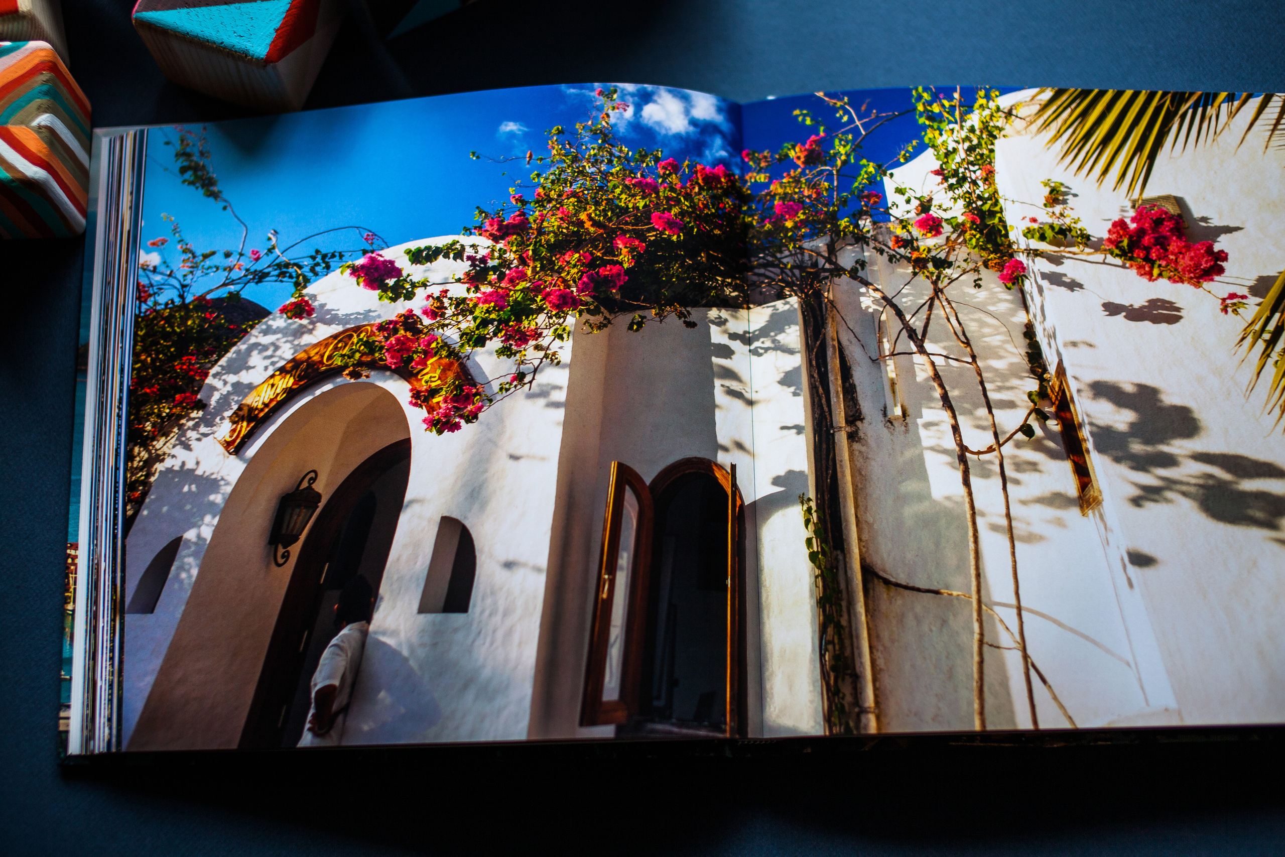 Сейшельская книга. Фотограф Константин Грибов в Москве