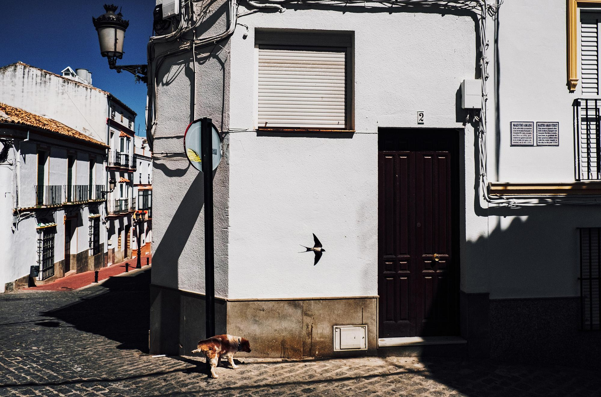 Andalucia. Photographer Konstantin Gribov