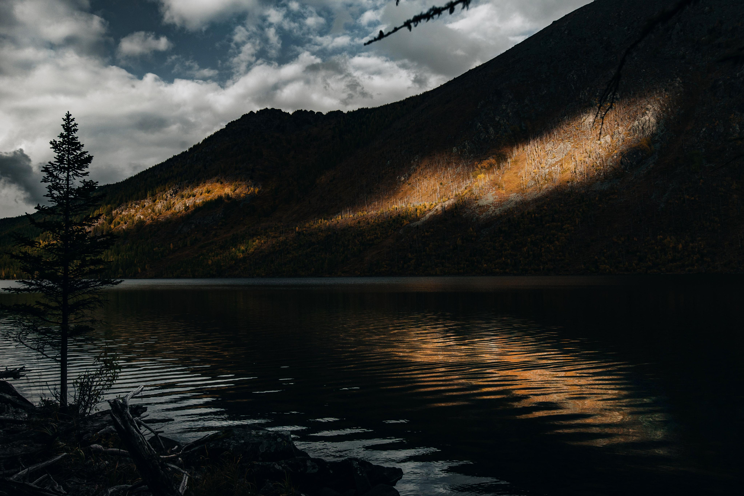 Altay. Photographer Konstantin Gribov