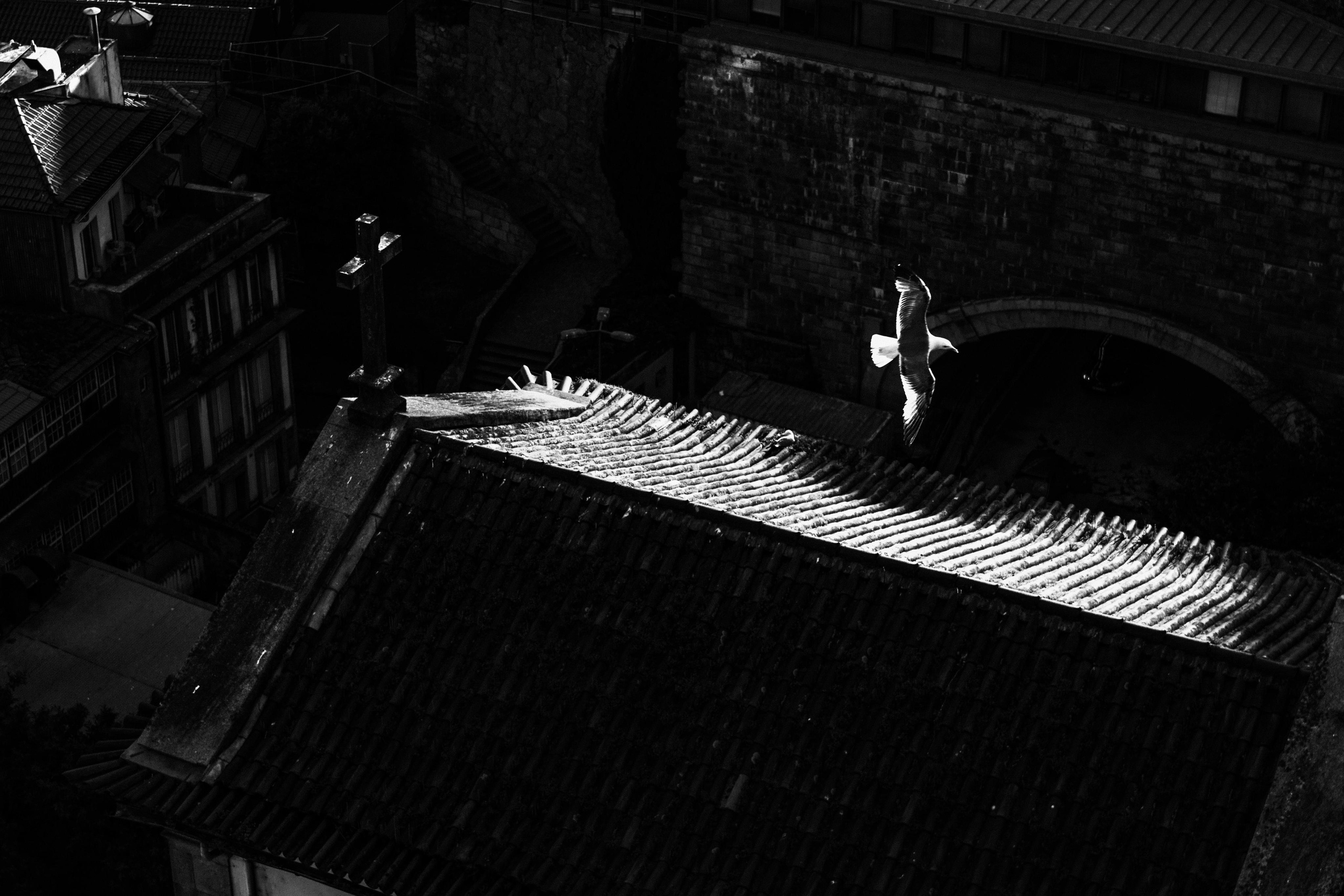 Portugal. Photographer Konstantin Gribov