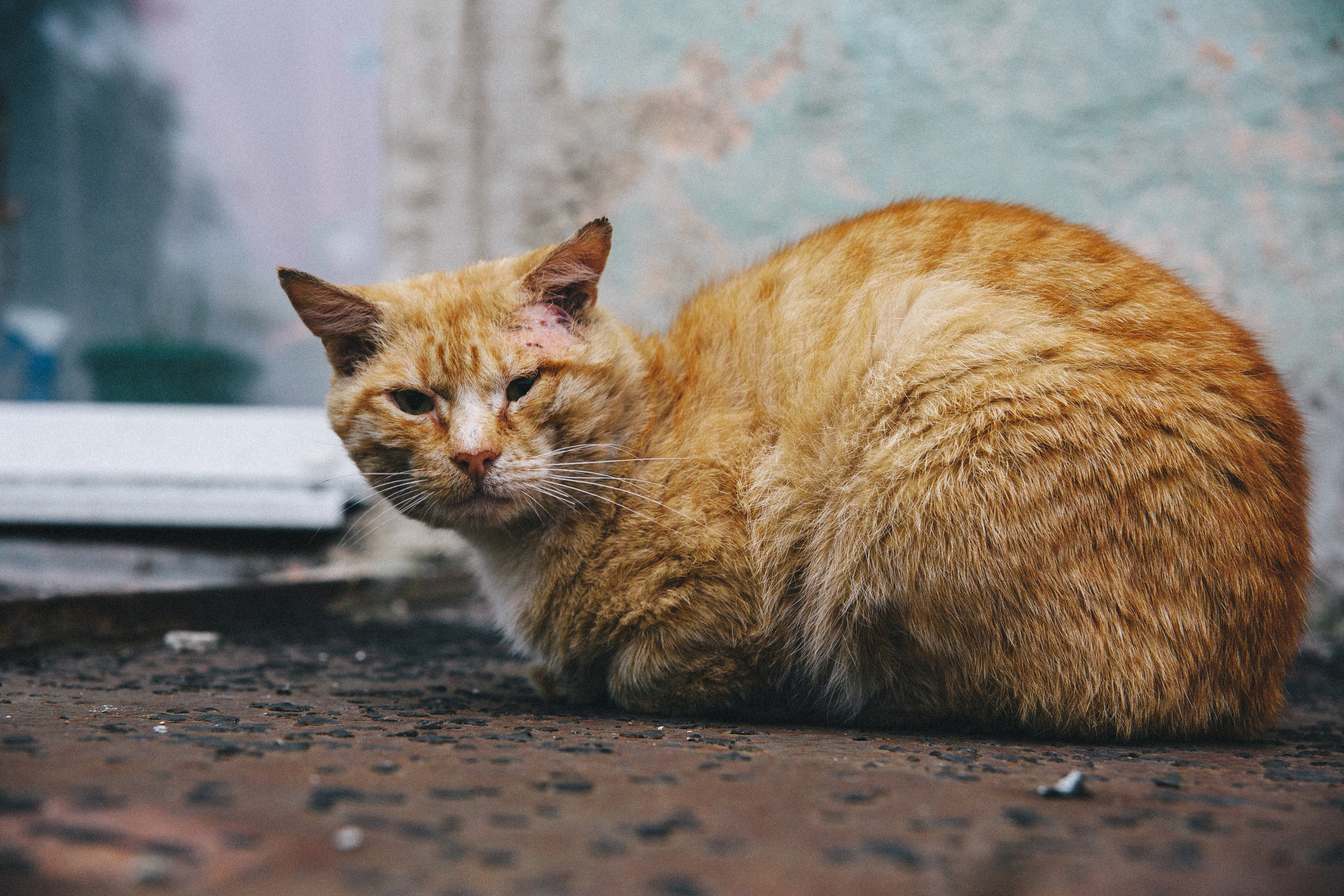 Teriberka. Фотограф Константин Грибов в Москве