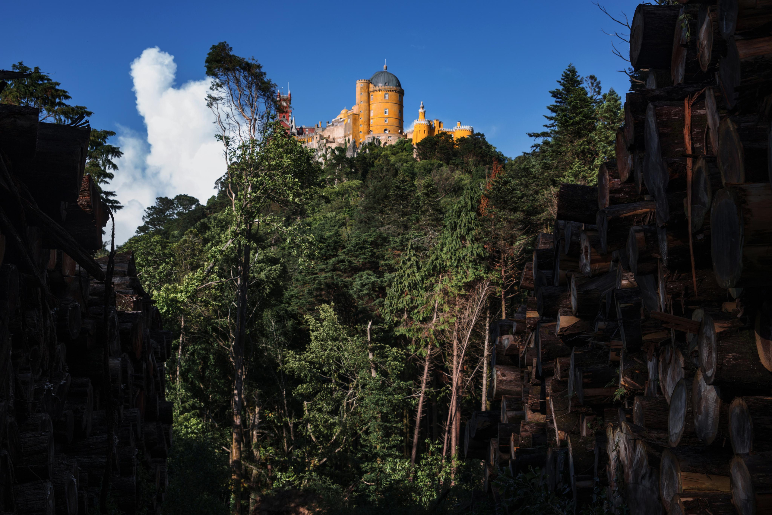 Portugal. Photographer Konstantin Gribov