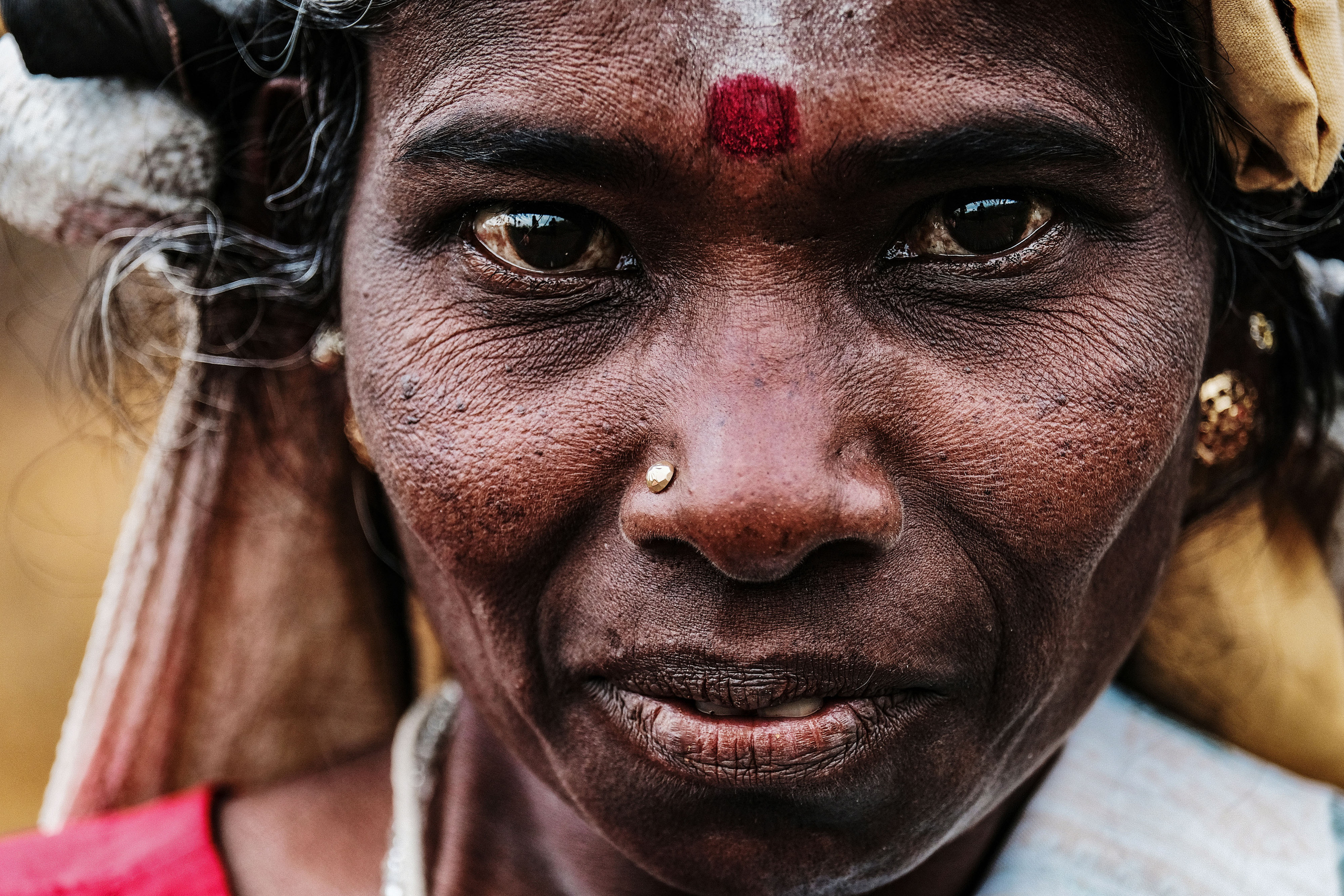 Sri Lanka. Photographer Konstantin Gribov